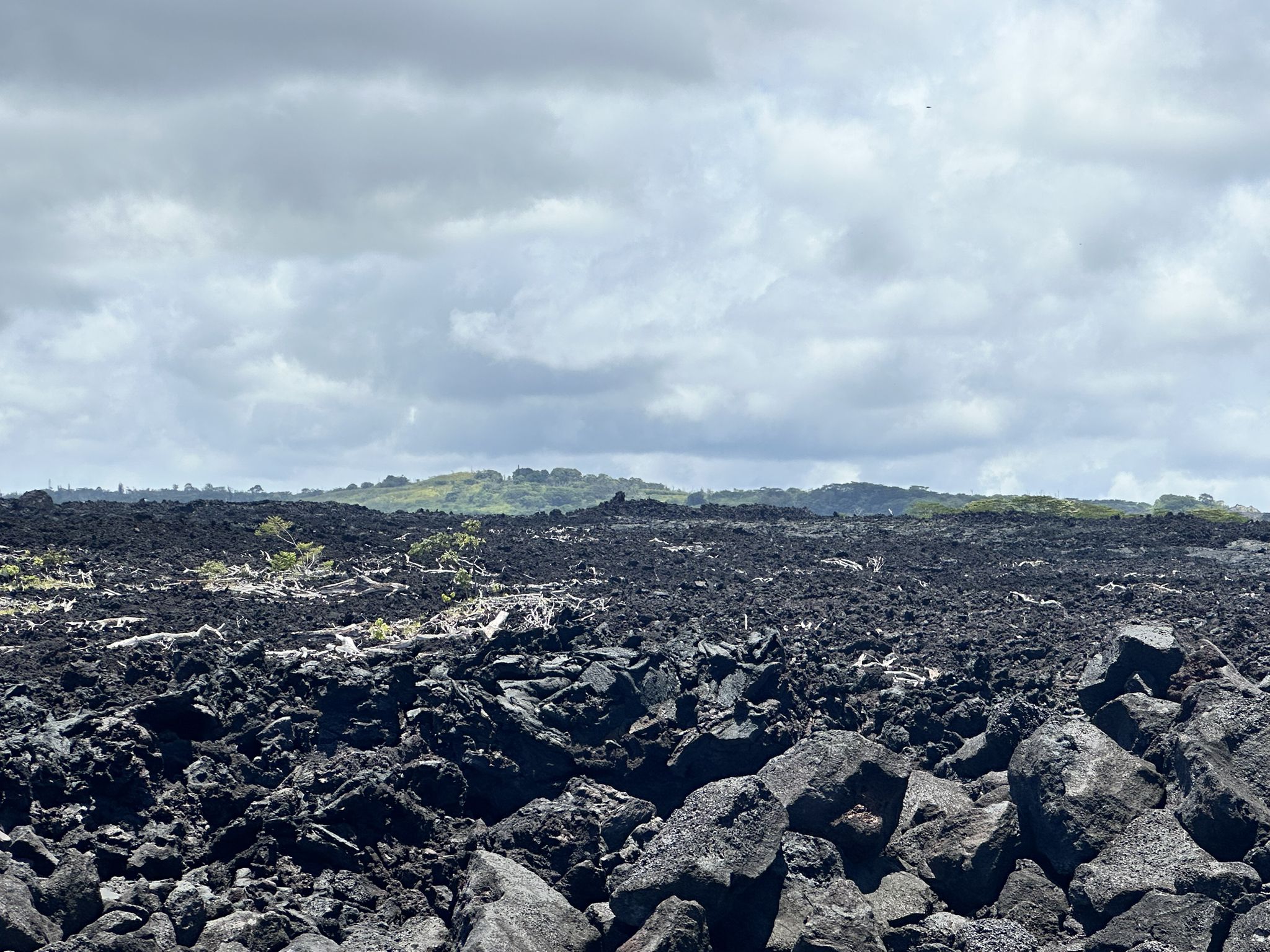Vast field of dark, jagged volcanic rock under an overcast sky. - Isaac Hale Beach Park – Isaac Hale Beach Park loop from Kehena Beach