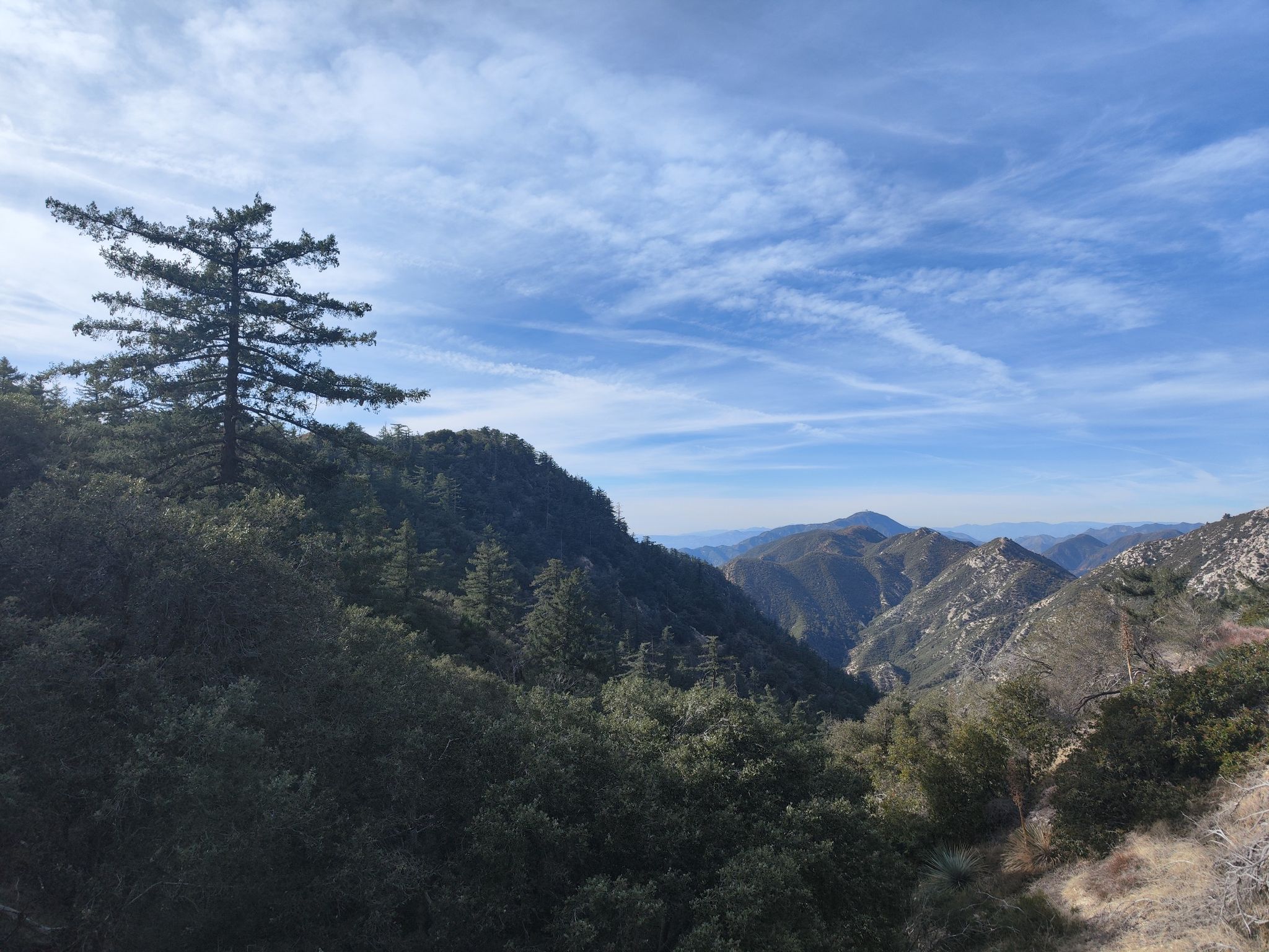 A lone pine tree on a ridge overlooks a vast mountain valley. - Mount Lowe and Echo Mountain Loop