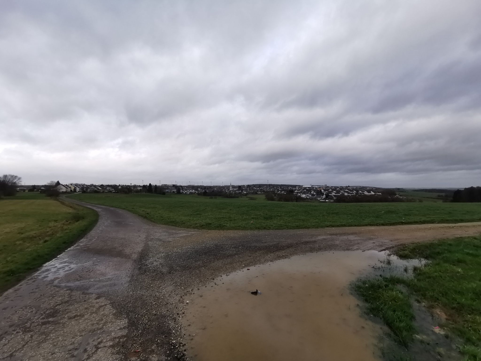 Binsfeld