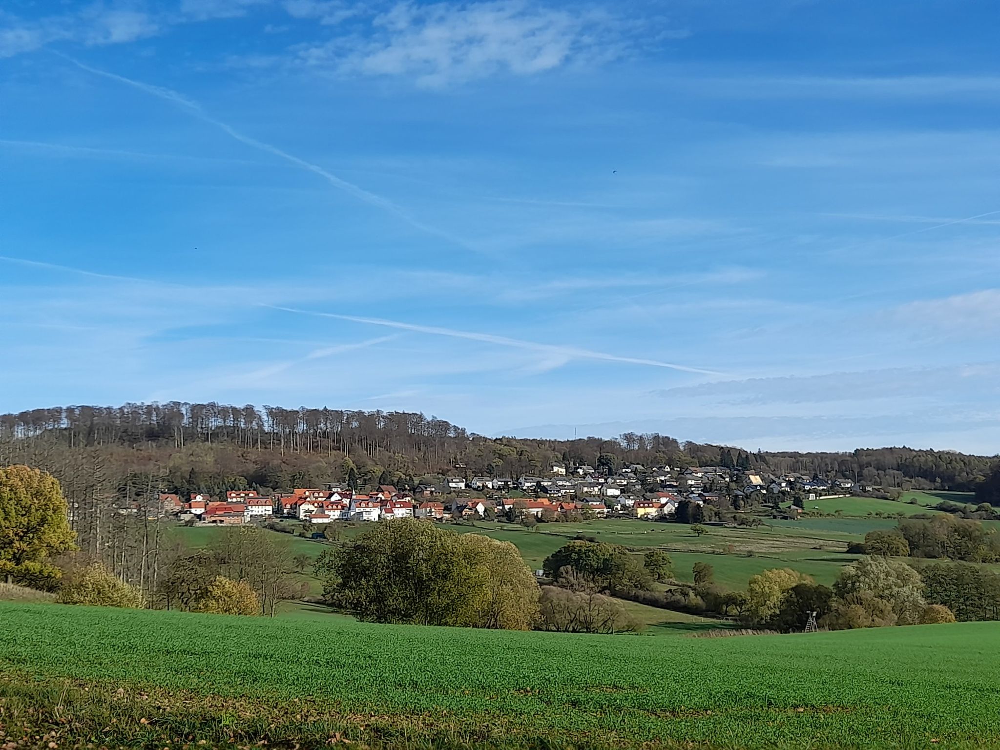 Elmshagen
