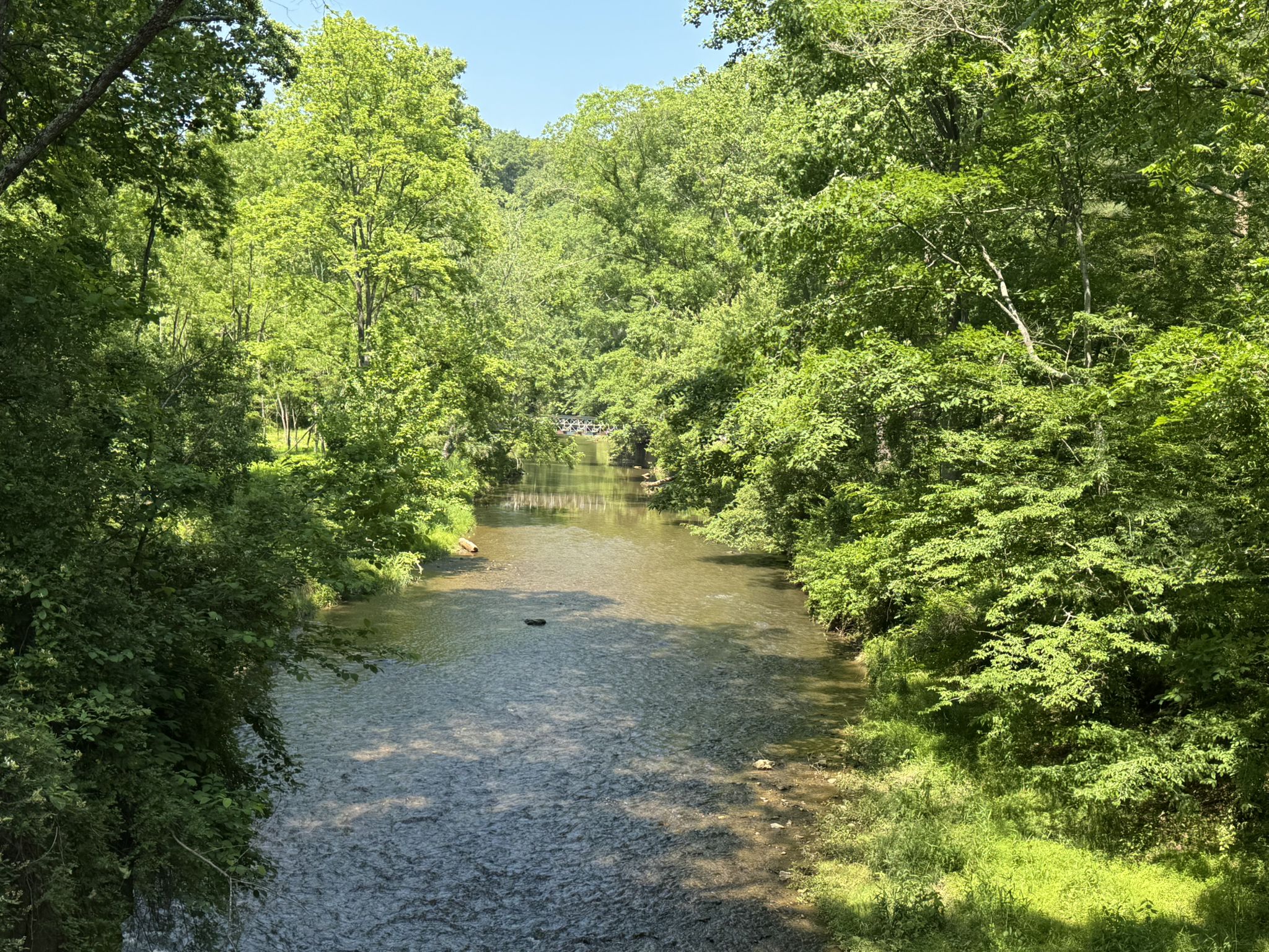 Clear river flowing through a vibrant green forest on a sunny day. - Monkton Train Station – Torrey C. Brown Rail Trail loop from Monkton