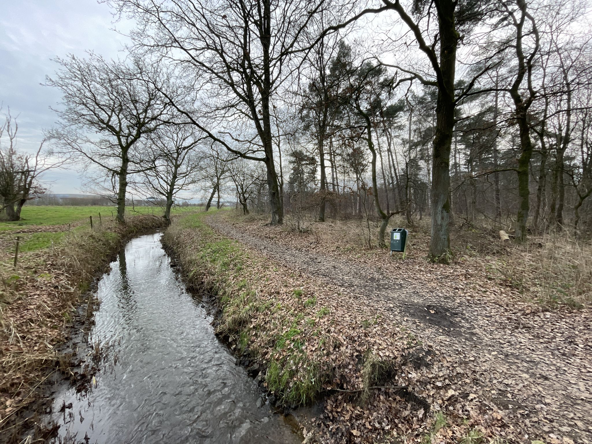 Begin van de Visbeekvalei…voor mij bijna het einde van de wandeling 🚶‍♂️ 