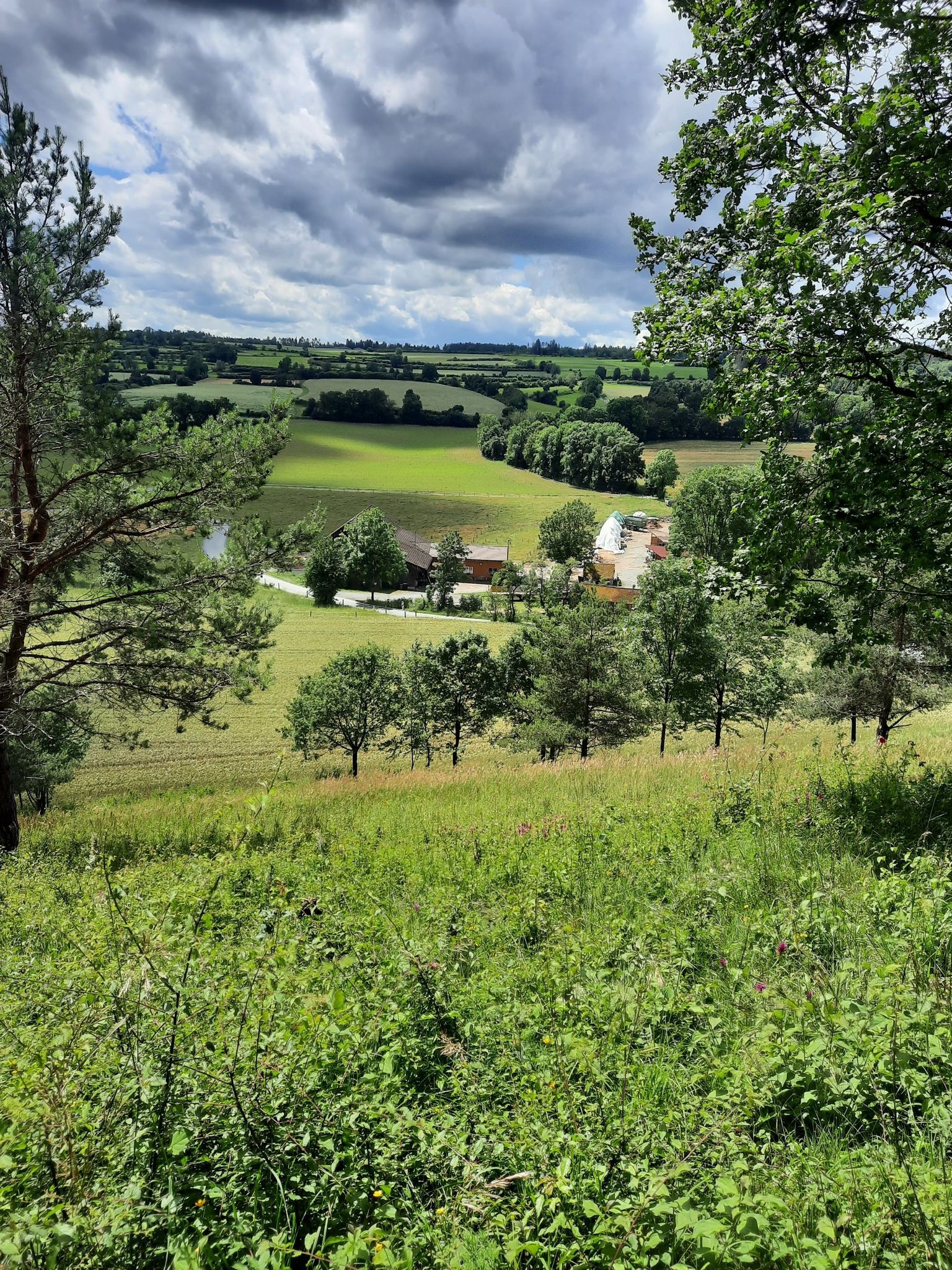 Rennesberg