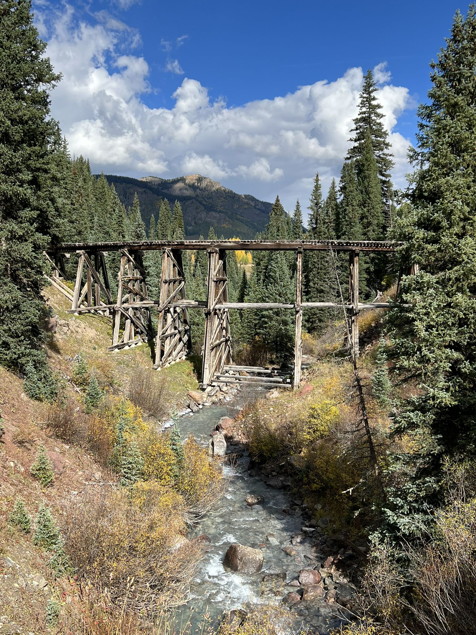 Wooden trestle bridge spans a river through a pine forest on a sunny day. - Galloping Goose