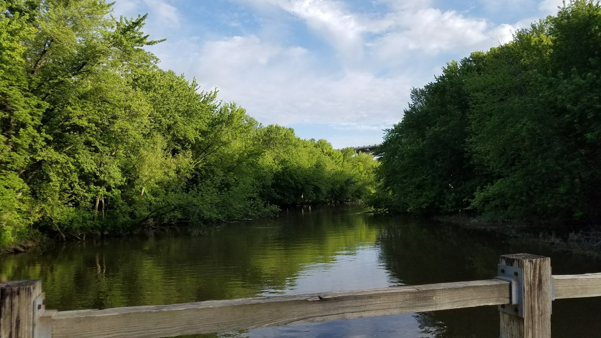 River flowing between dense green trees, seen from behind a wooden railing. - Pike Island Loop
