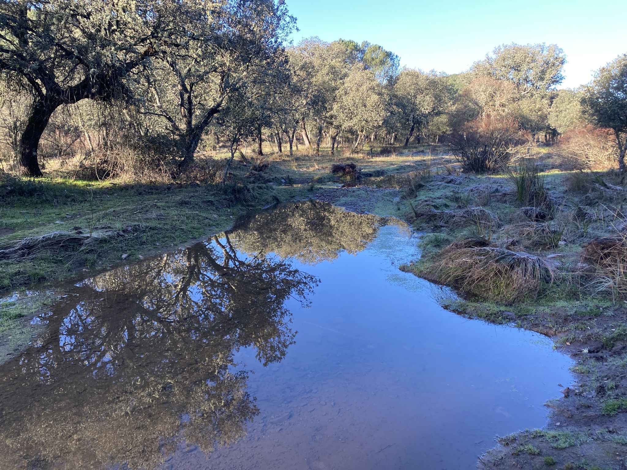 Arroyo de la Campana que hay que vadear