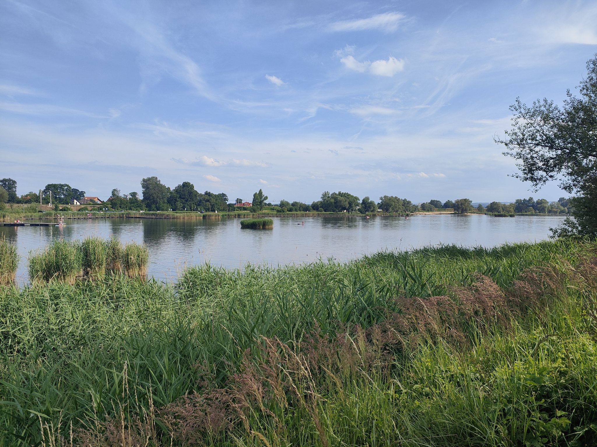 Przypadek Rusiecki