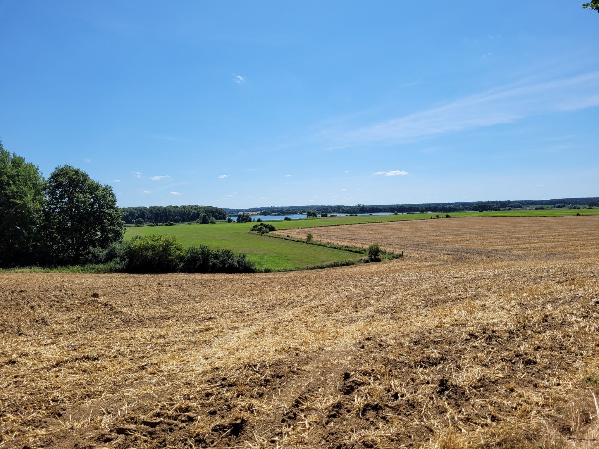 blick