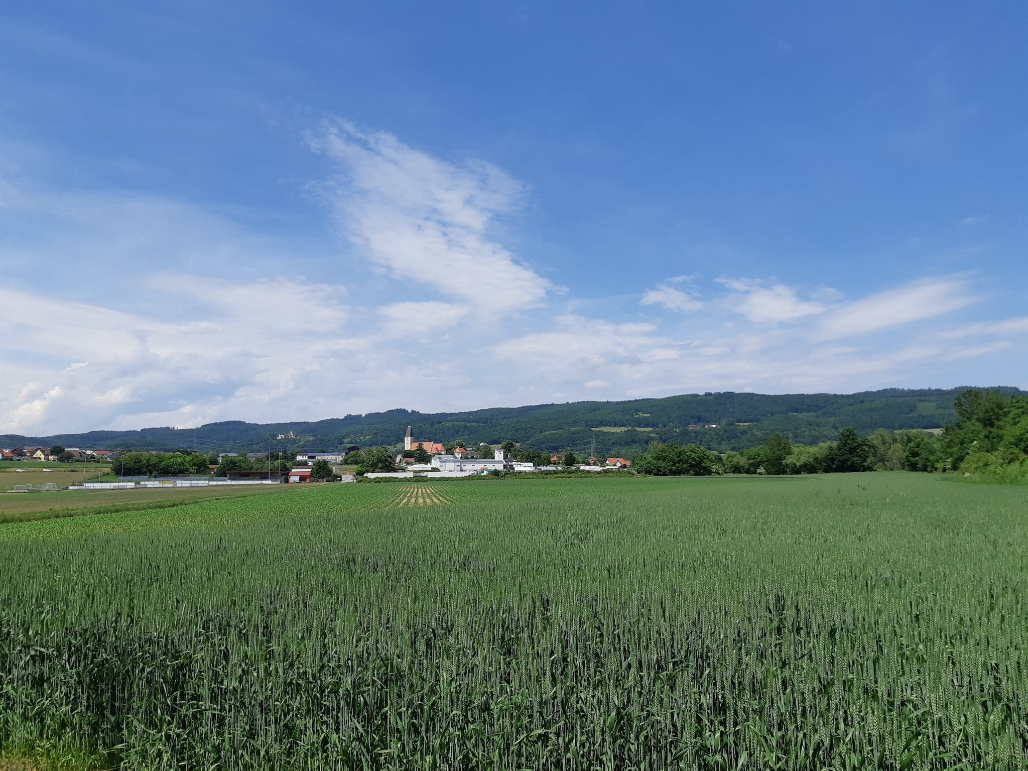 Hafnerbach
