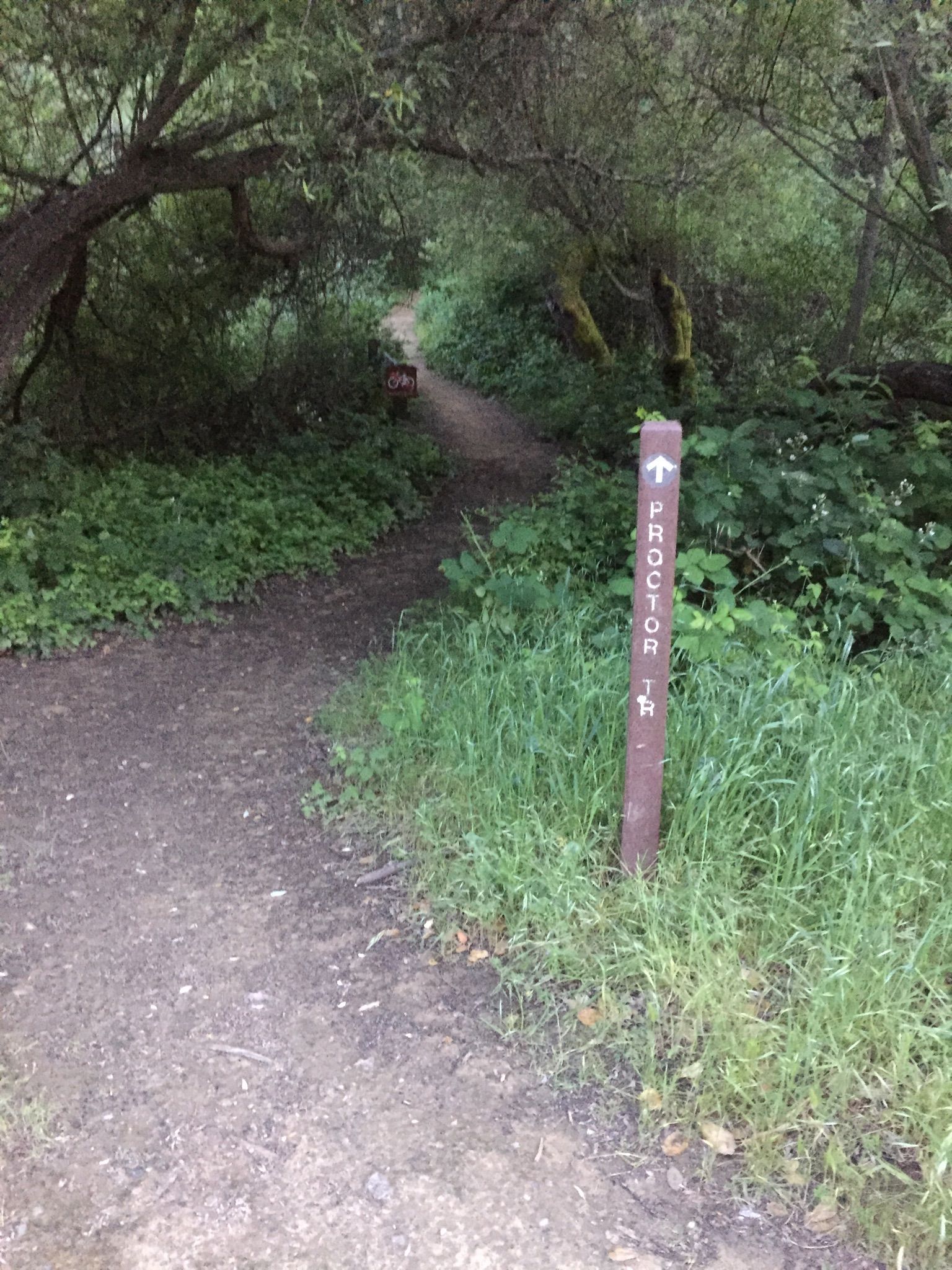 A narrow dirt path leading into a dense, green forest with a sign. - Proctor and Ten Hills Loop