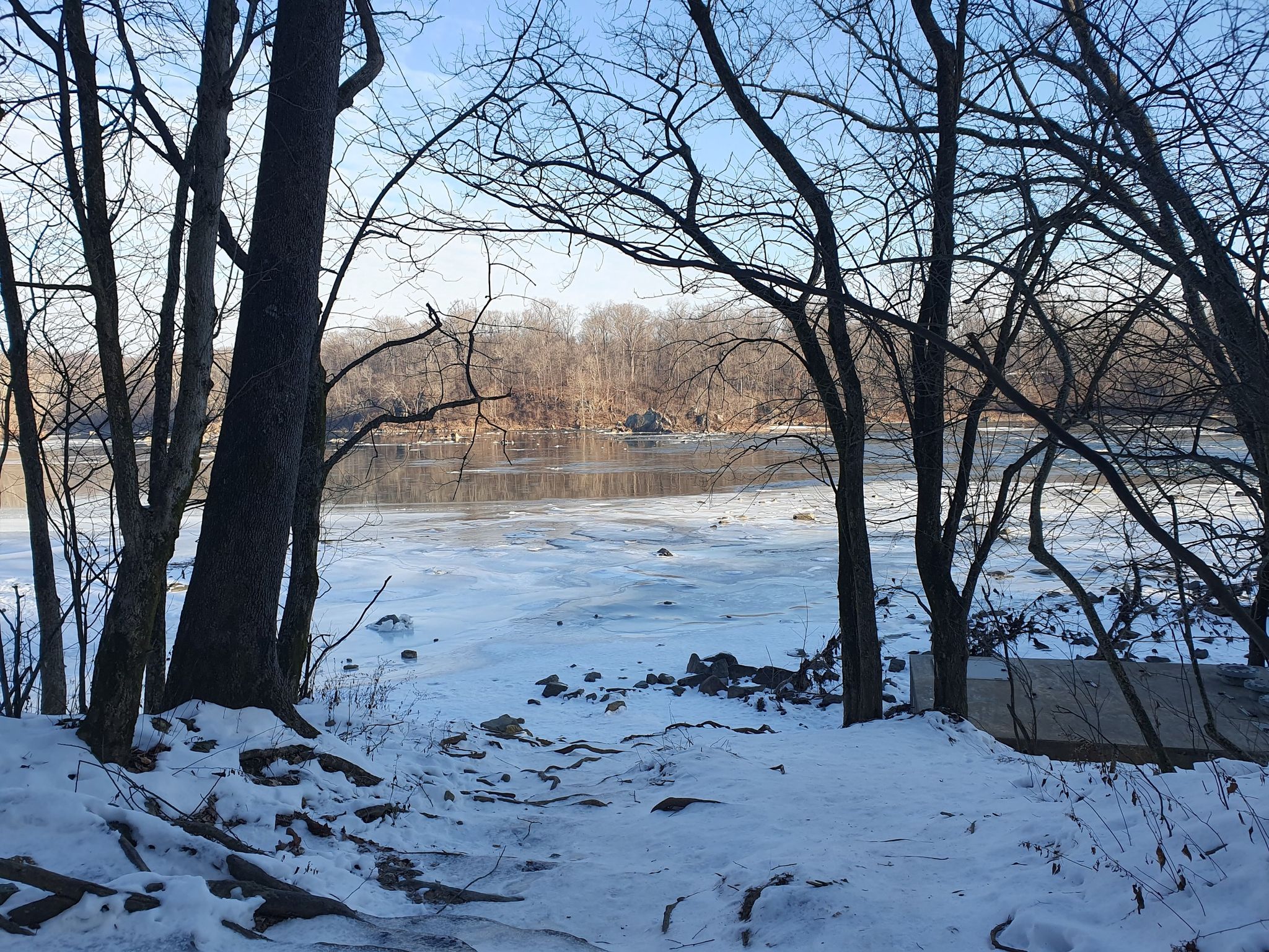 Snowy ground and bare trees framing a partially frozen river, sunny. - Potomac Heritage Trail