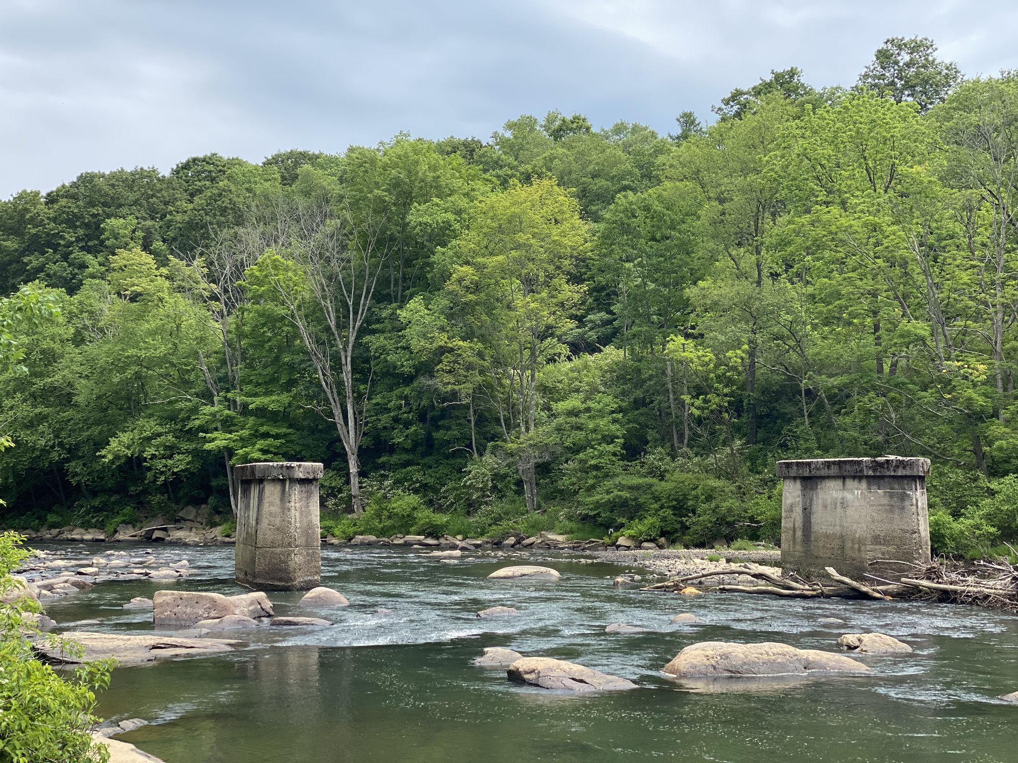 A river flows past two concrete pillars, surrounded by lush green trees. - Great Allegheny Passage: Rockwood to Garrett
