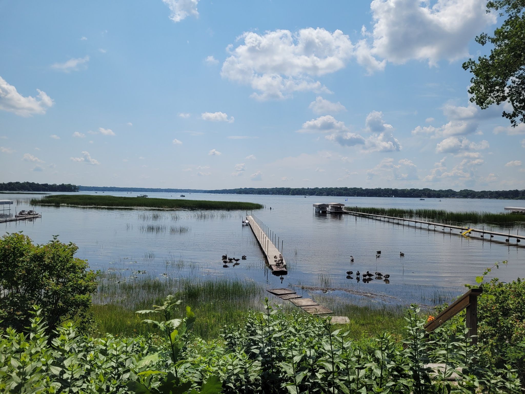 A wide lake with docks, islands, and ducks under a bright, cloudy sky. - Lake Links Trail