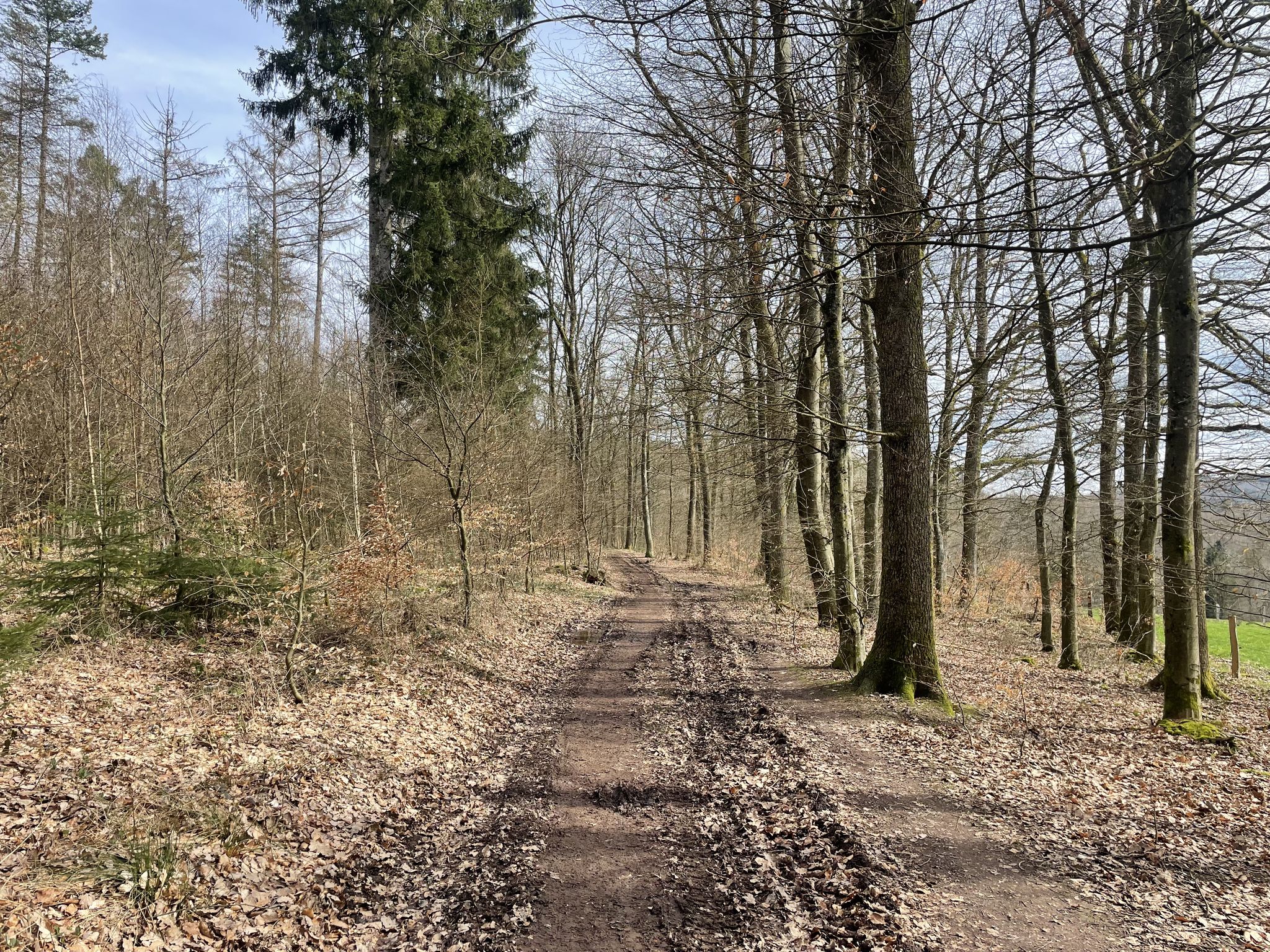 Auf dem Weg zur Zitzenbach