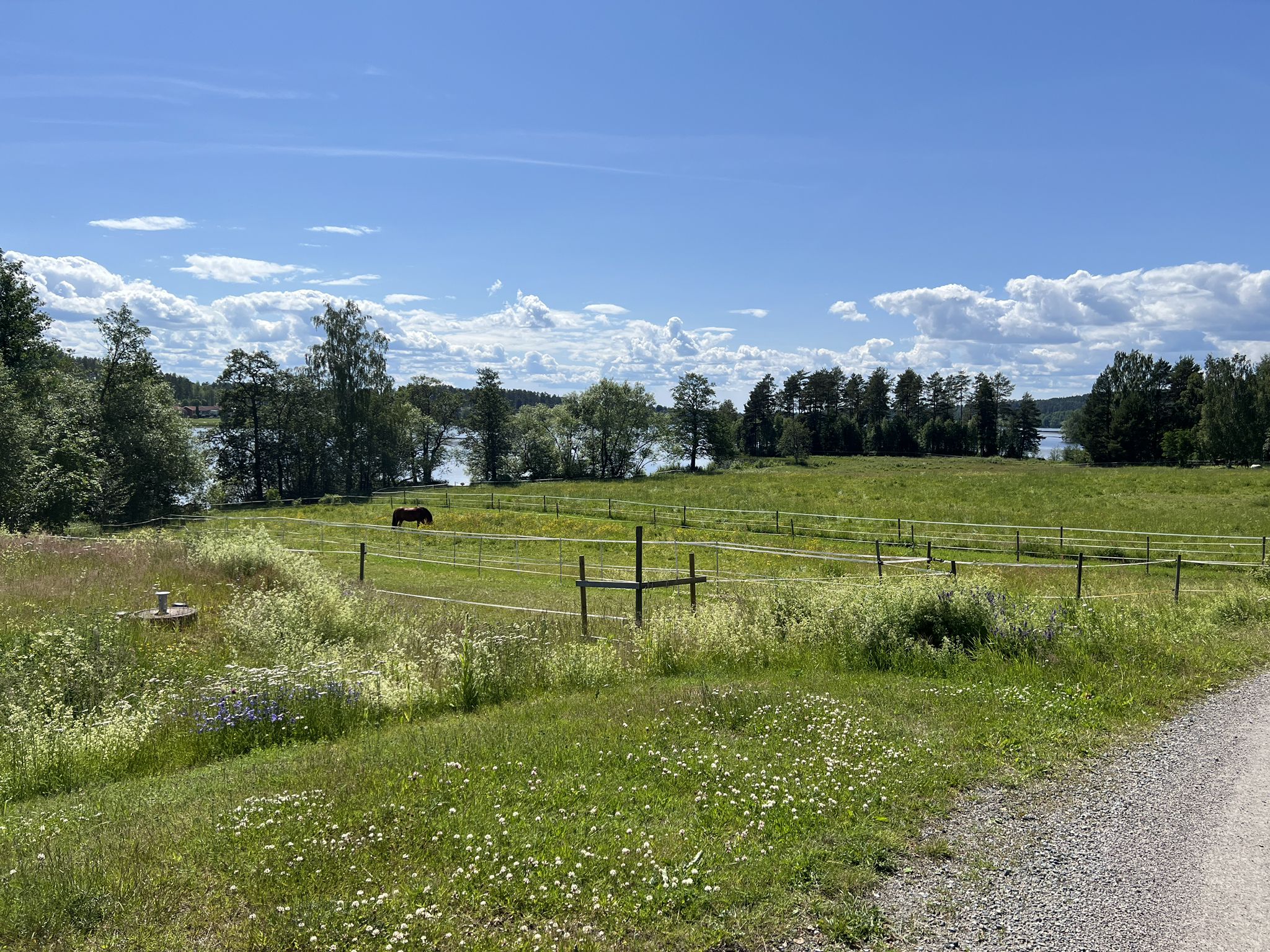 am Hosjön entlang