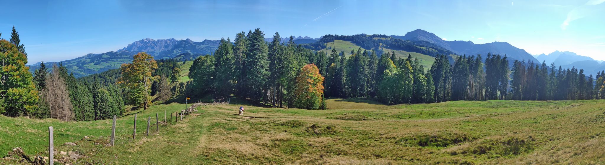 Wir sind bald auf dem Punkt 1279 oberhalb der Alp Breitenau.