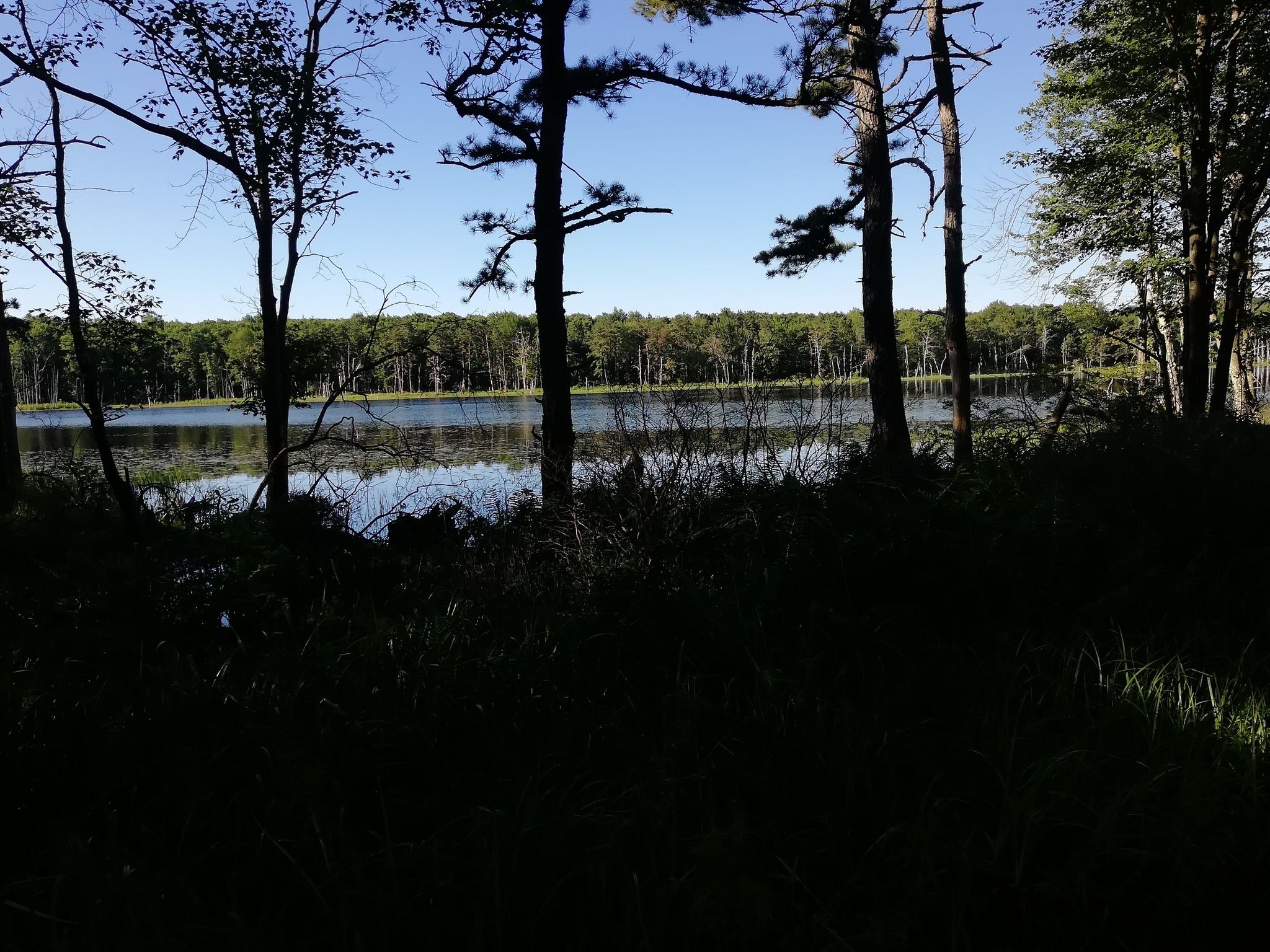 Dark silhouettes of trees frame a bright lake under a clear blue sky. - Deep Lake Trail loop