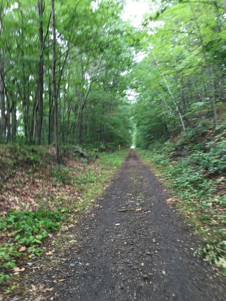 A long, straight dirt path stretches through a dense green forest. - Raymond to Pawtuckaway Lake loop