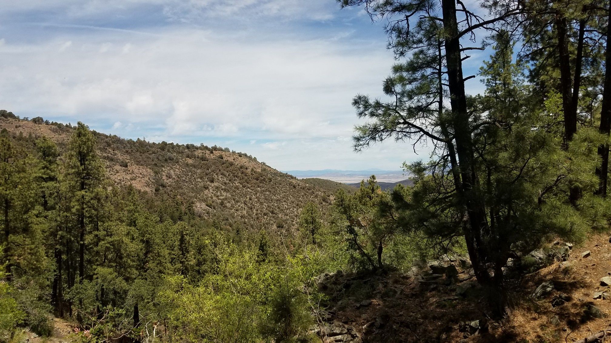 Expansive view of a forested valley and distant hills under a cloudy sky. - Smith Ravine Trail & Homestead Trail loop