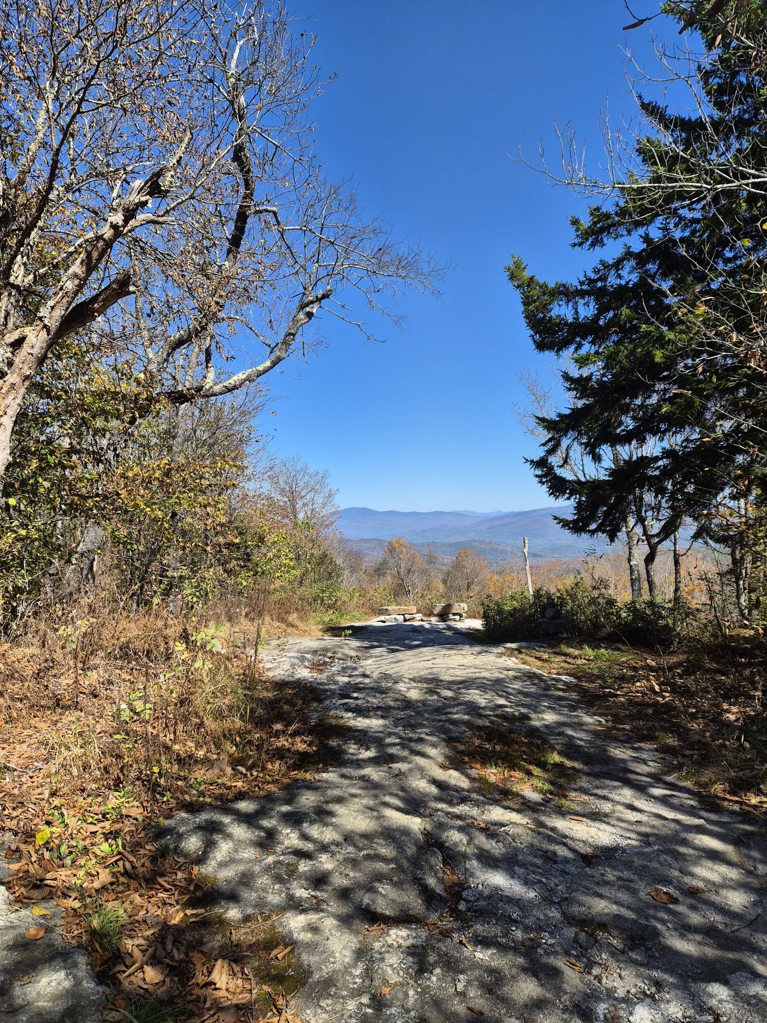 A rocky path through autumn trees, leading to distant mountains under blue sky. - Green Woodlands loop