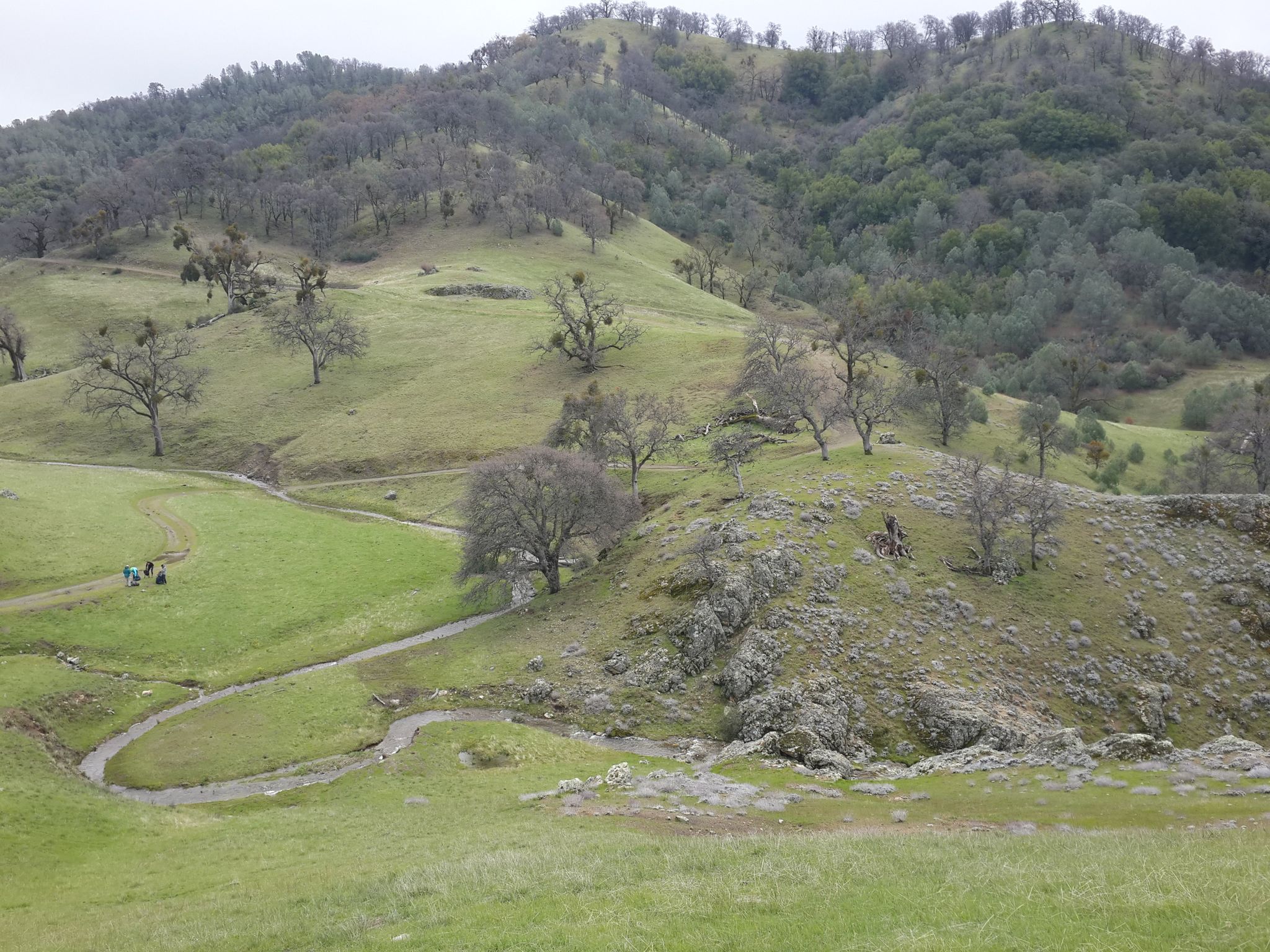 Green rolling hills with scattered trees, a winding path, and distant hikers. - Ohlone Wilderness Trail to Murietta Falls
