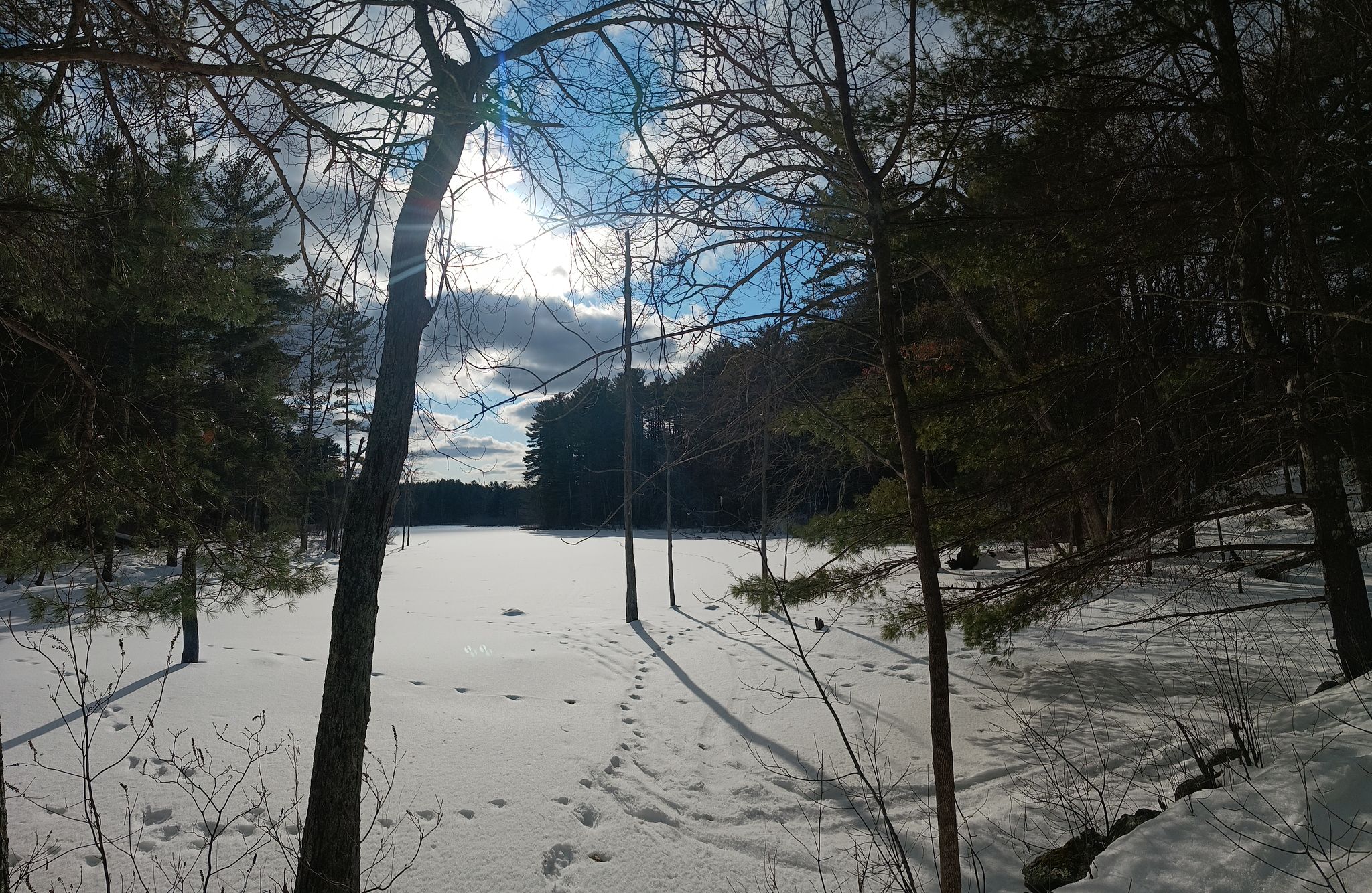 A snowy field with footprints, surrounded by trees, with sun shining through clouds. - Cellar Holes – Great Brook Farm loop from Benfield Conservation Land