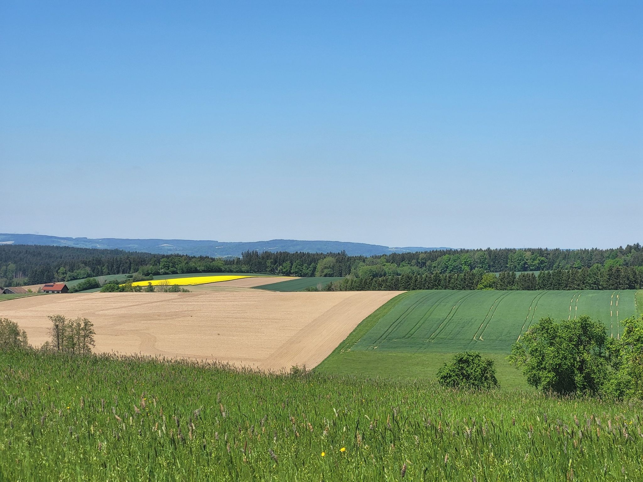 Zwieschen Schiefeck und Treubach