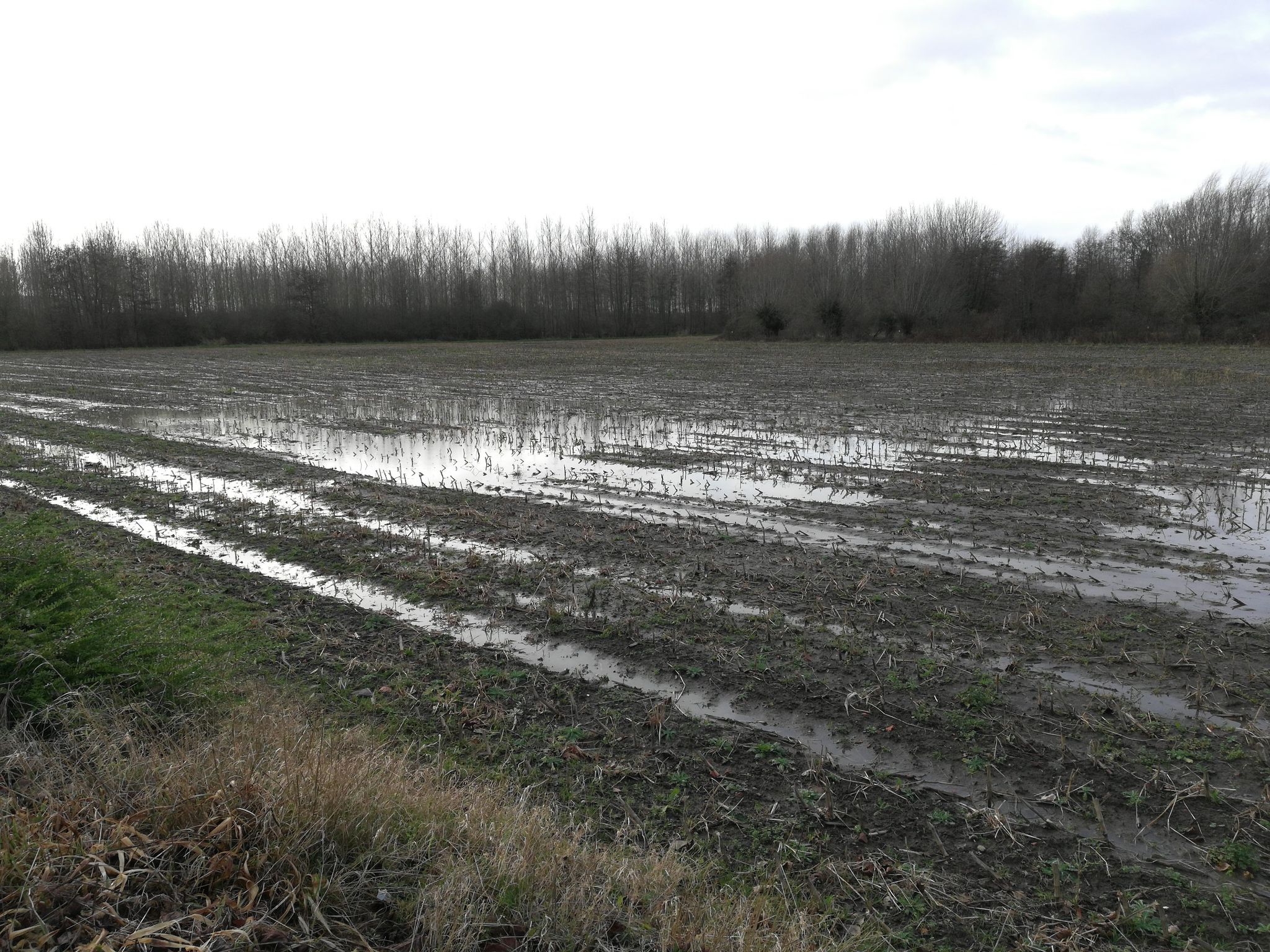 les champs gorgés d eau