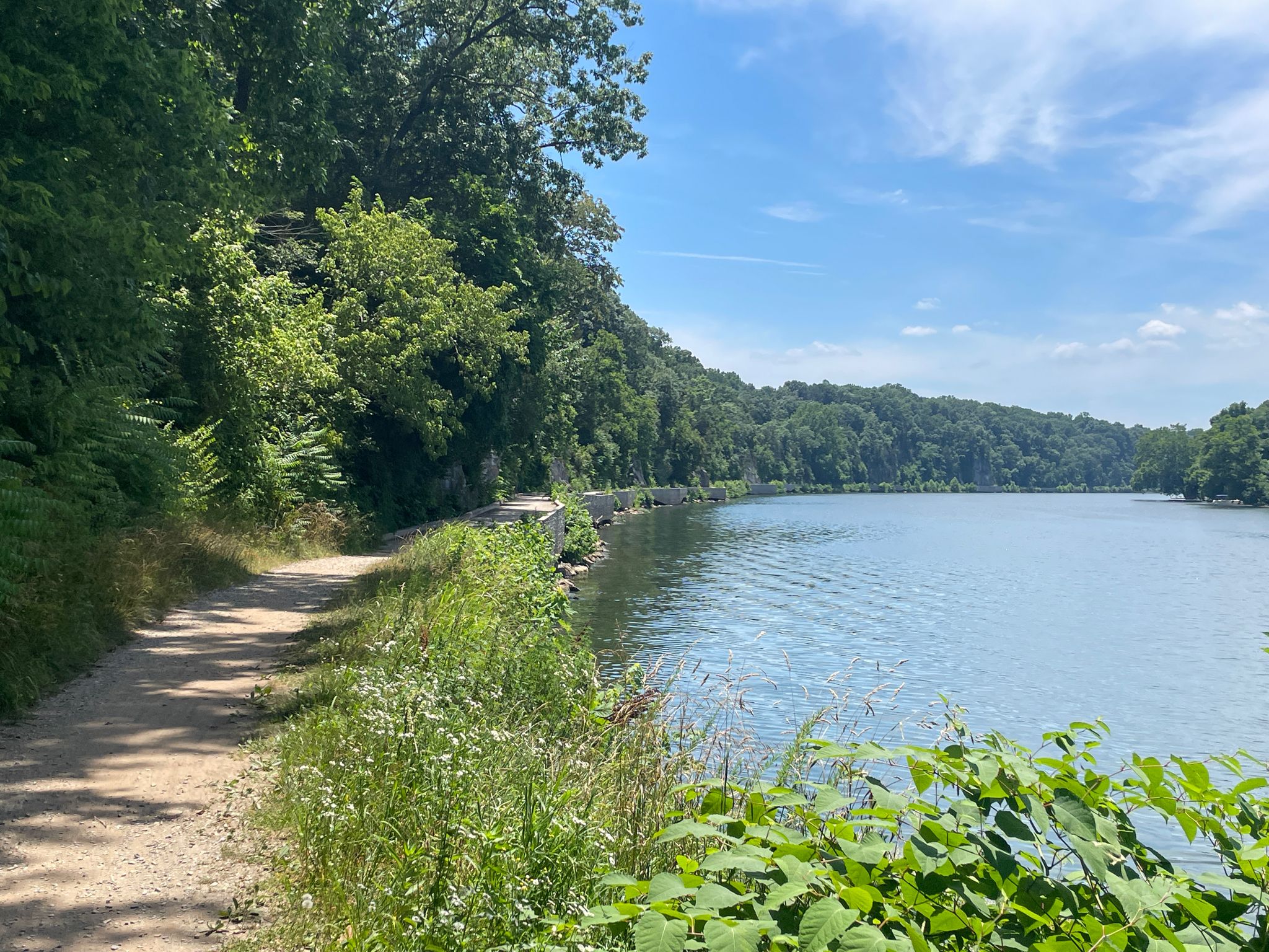 Dirt path winding by a river, dense green trees, bright sunny day. - Taylors Landing to McMahon's Mill via C and O Canal Trail