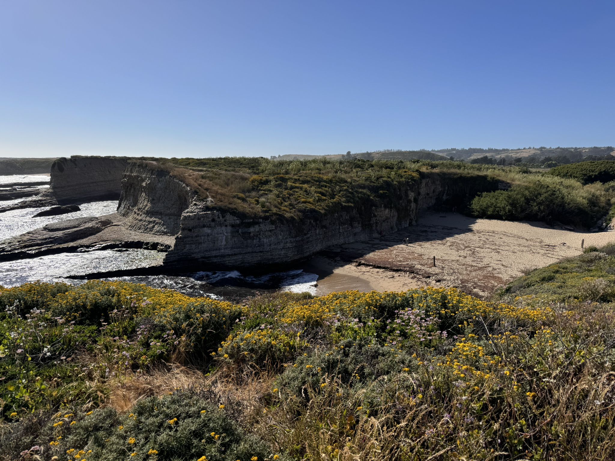 Coastal cliffs, sandy cove, and ocean under a clear blue sky. - Wilder Dairy Cultural Preserve – Natural Bridges State Beach loop from Beach Station (Santa Cruz)