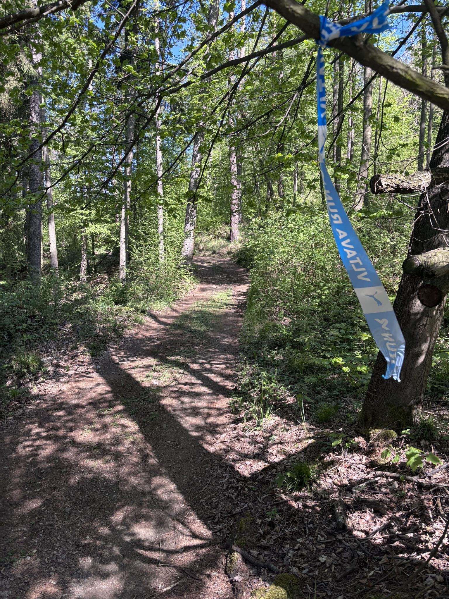 Los geht’s, gleich auf den Trail