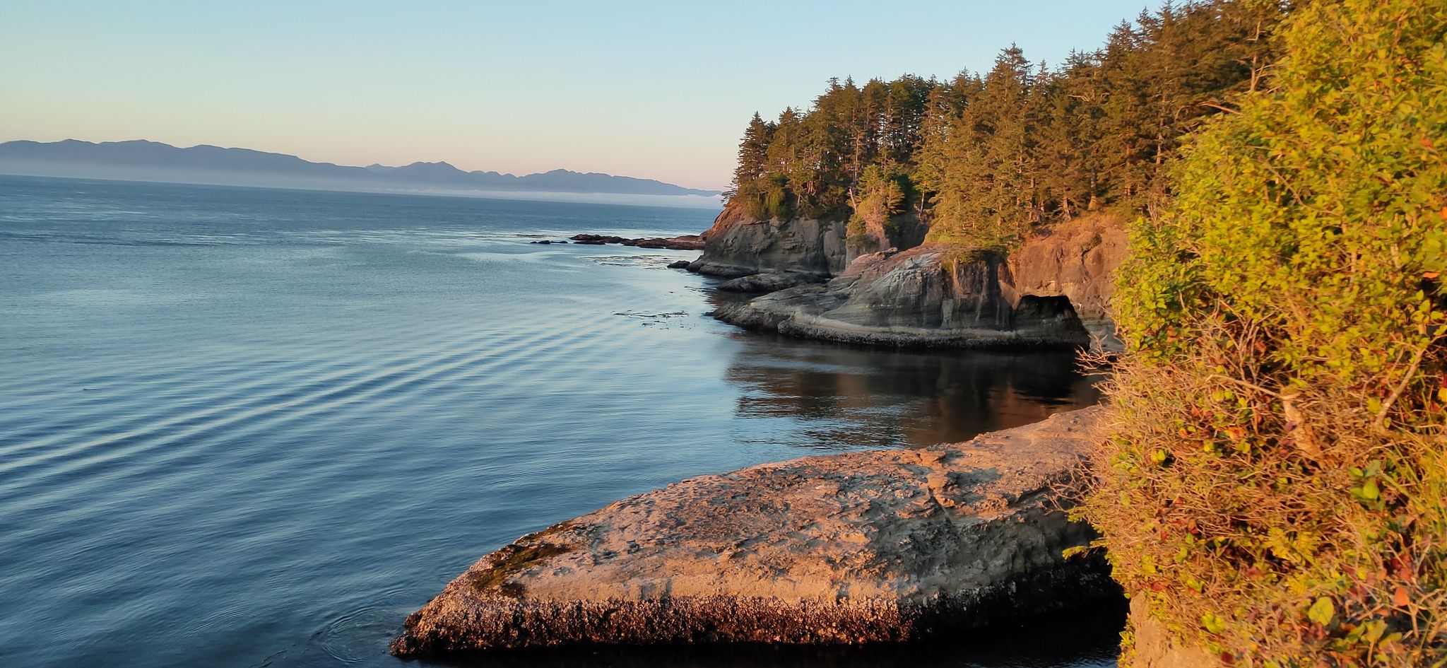 Coastal cliffs with evergreen trees, calm ocean, and distant mountains at sunset. - Cape Flattery Trail