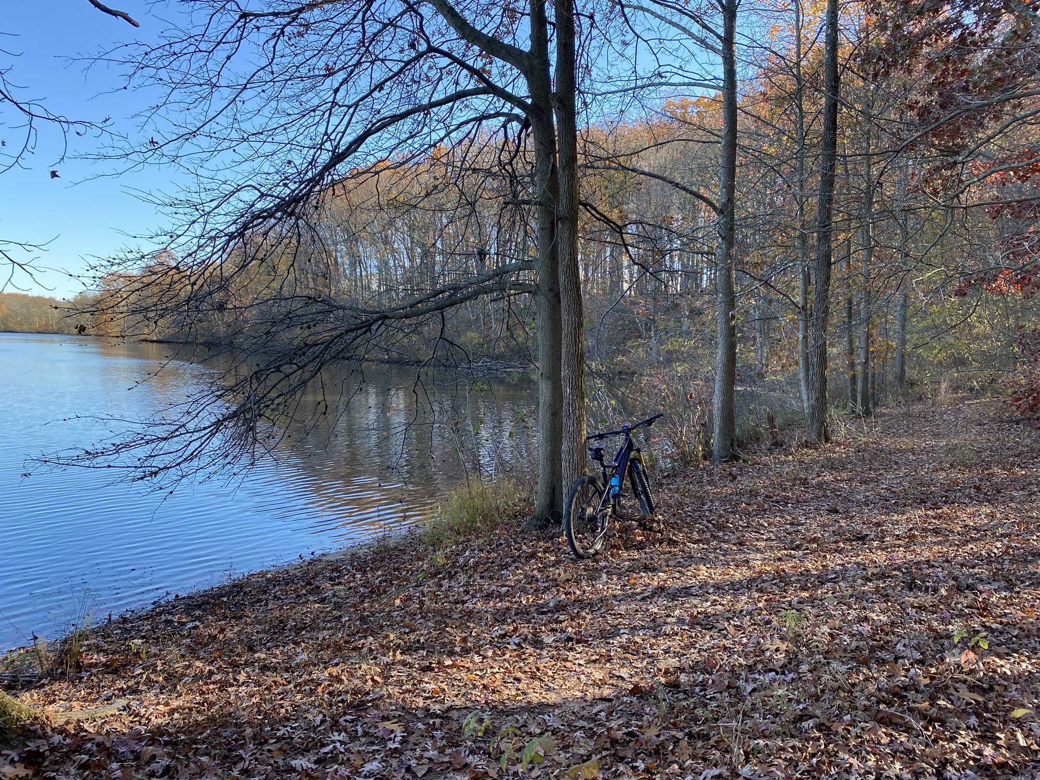 A bicycle rests by a calm lake under autumn trees on a sunny day. - Mercer County Park (East and West) Trails