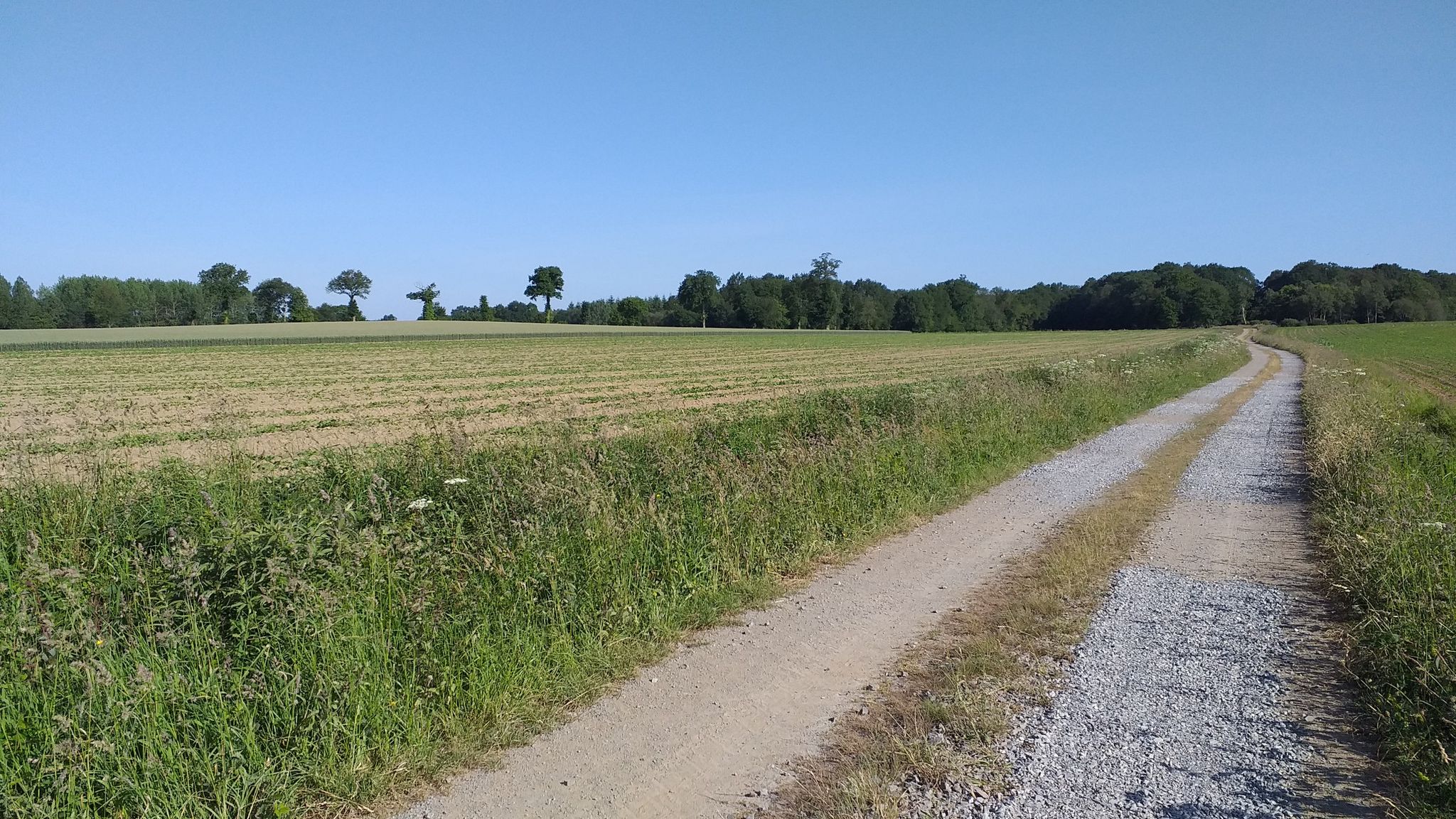 Chemin de la Poëtvinière
