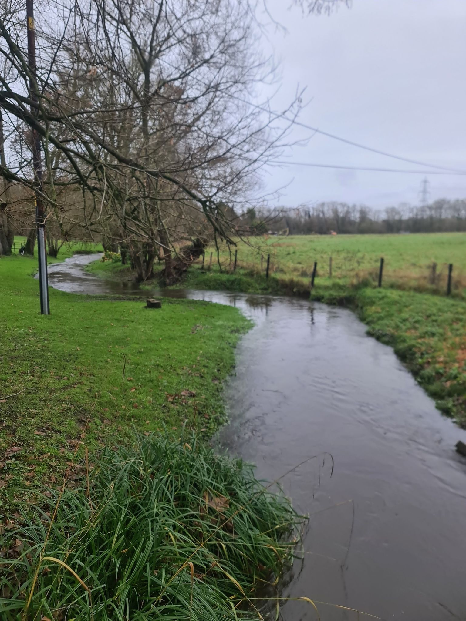 Stream near Bramley