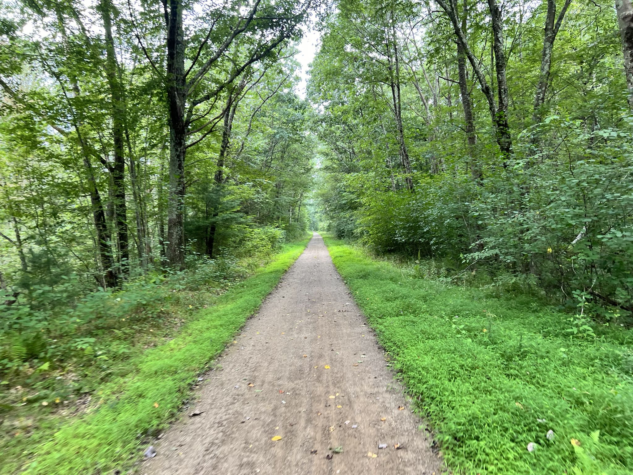 A straight dirt path stretches through a lush, green, dense forest. - Air Line State Park Trail