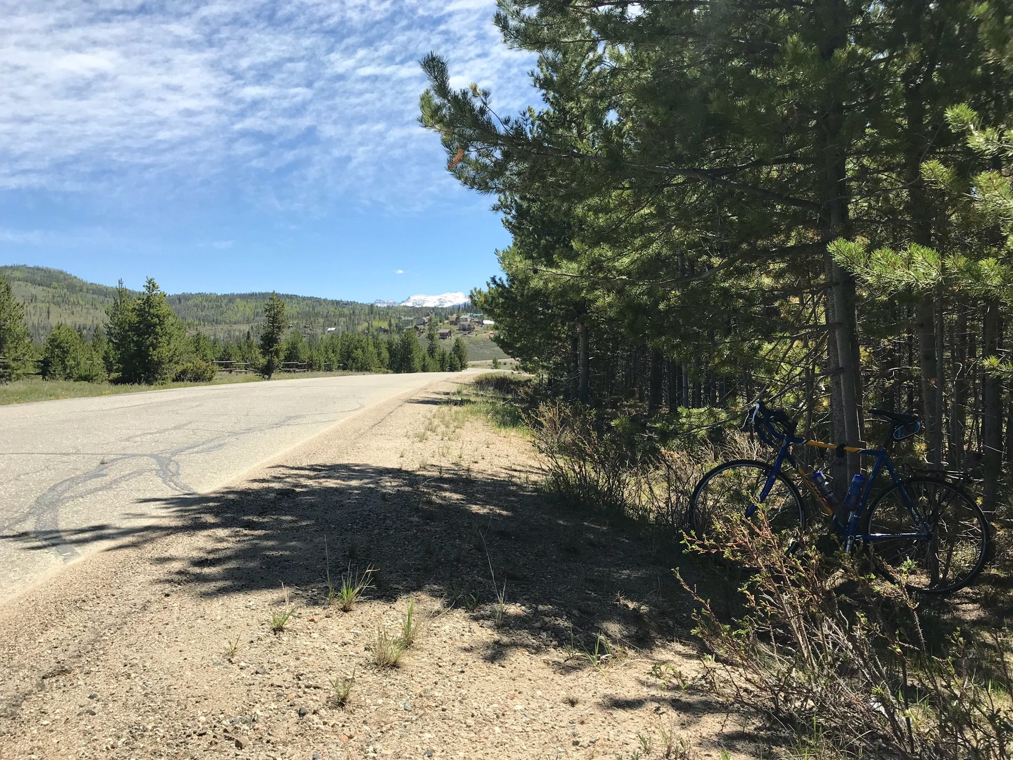 A bicycle rests under sun-dappled pine trees beside a paved road. - Tabernash loop