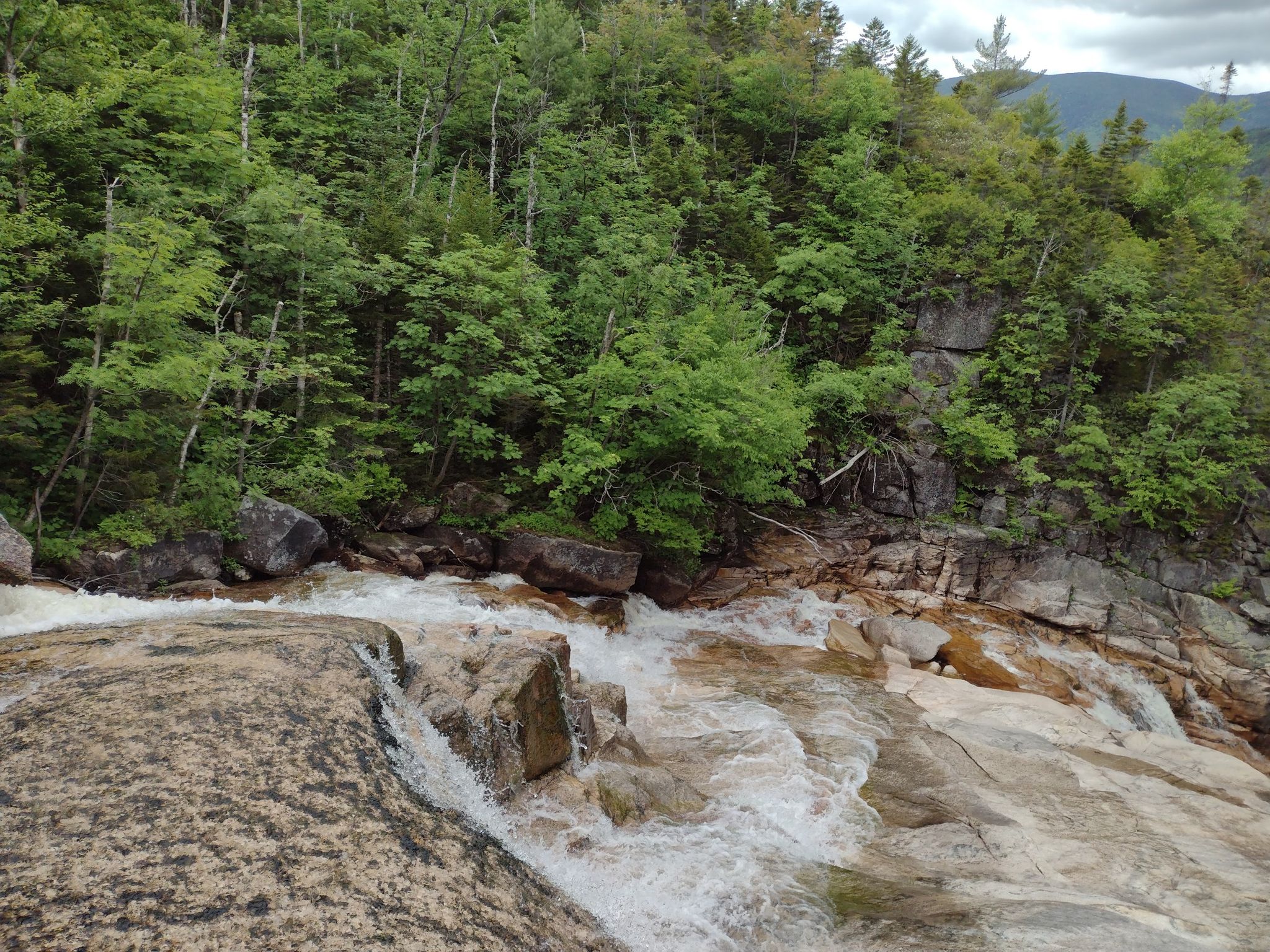 A rushing river cascades over large rocks, surrounded by green forest. - Thoreau Falls via the Ethan Pond Trail