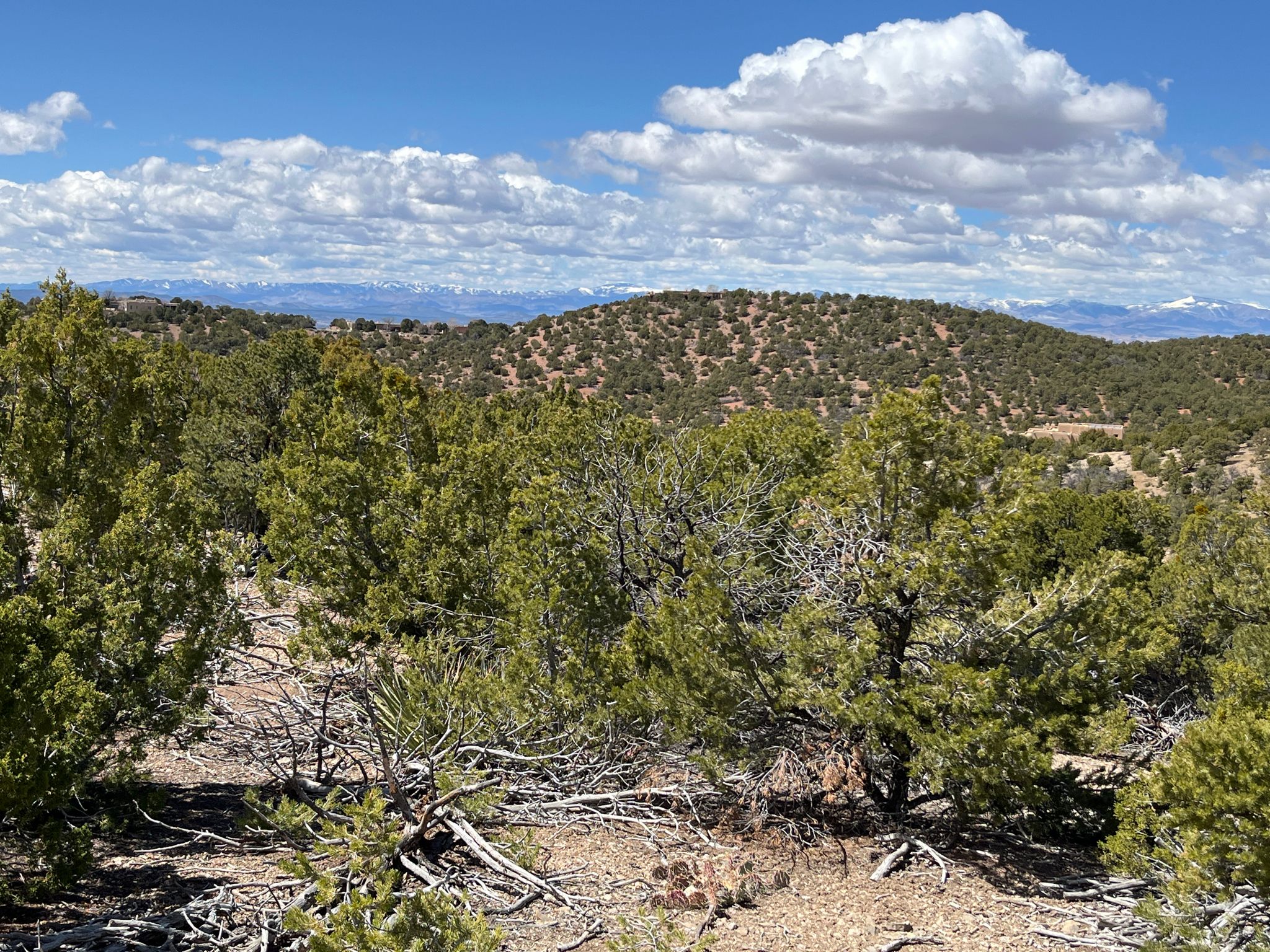 Sunny, wide view of a vast, green, forested landscape under a cloudy sky. - Outer Dale Ball Trails loop