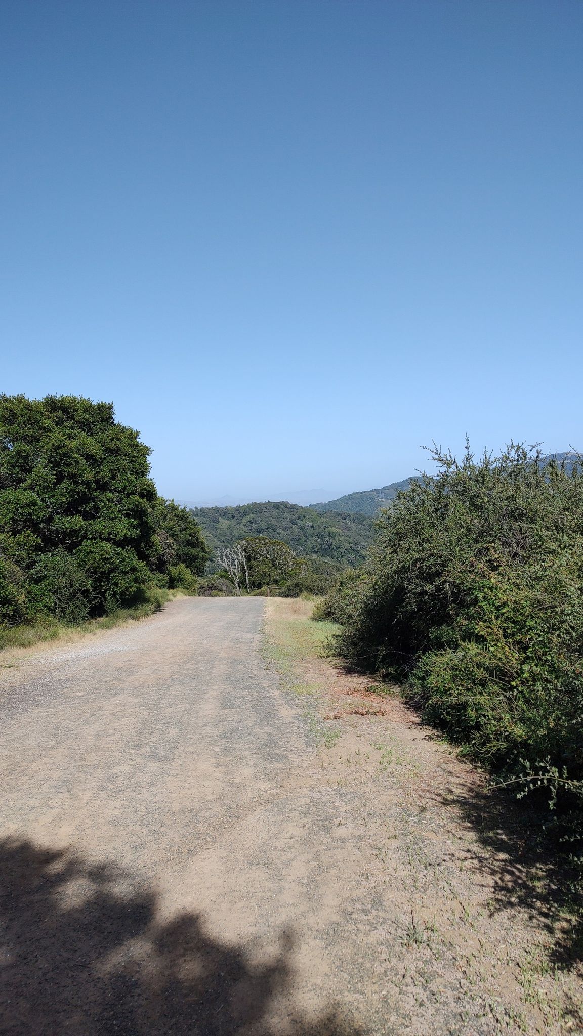 Sunny dirt road flanked by green trees and bushes, with distant hills. - Ridge and Camp Trail Loop