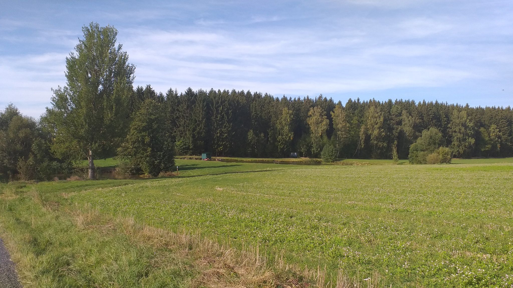 Teiche
