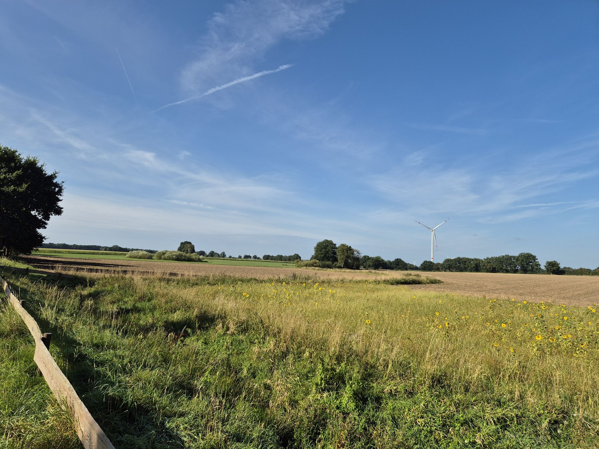Ausblick über die Landschaft bei Elstorf!