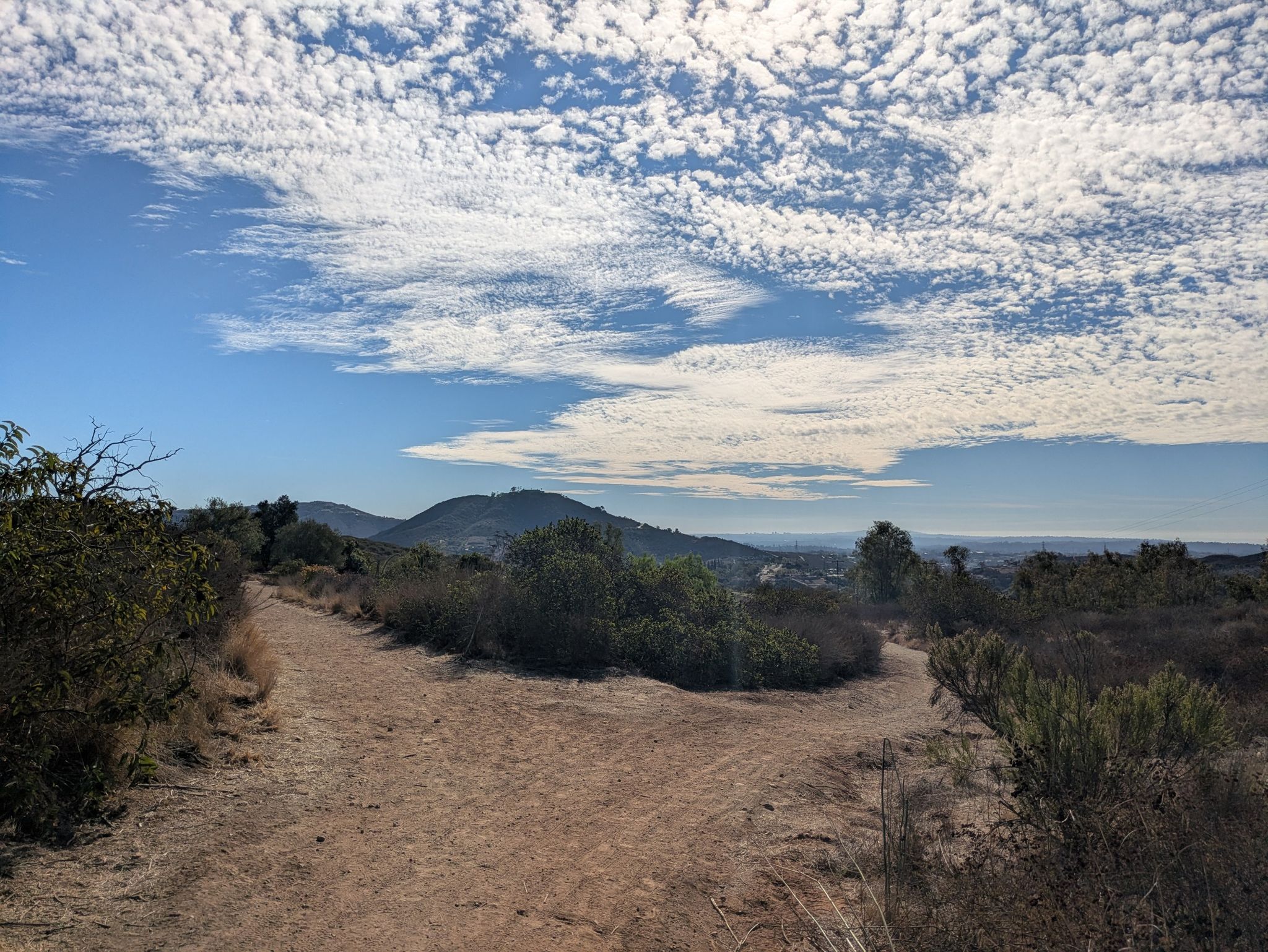 A dirt trail forks through dry brush under a bright, cloudy sky. - Questhaven Road Nature Trail