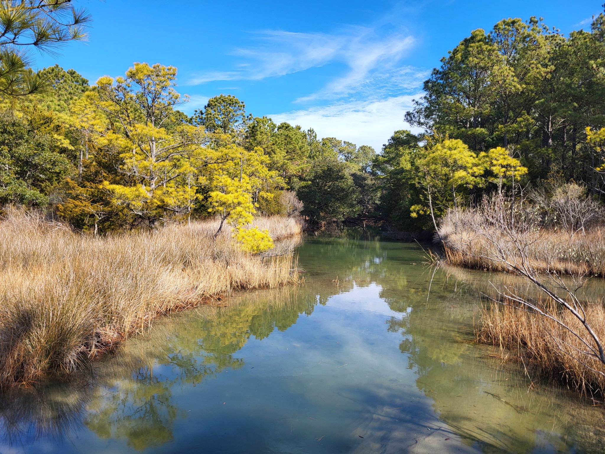 Narrow waterway reflecting blue sky, flanked by green and yellow trees. - Pleasure House Point Natural Area loop