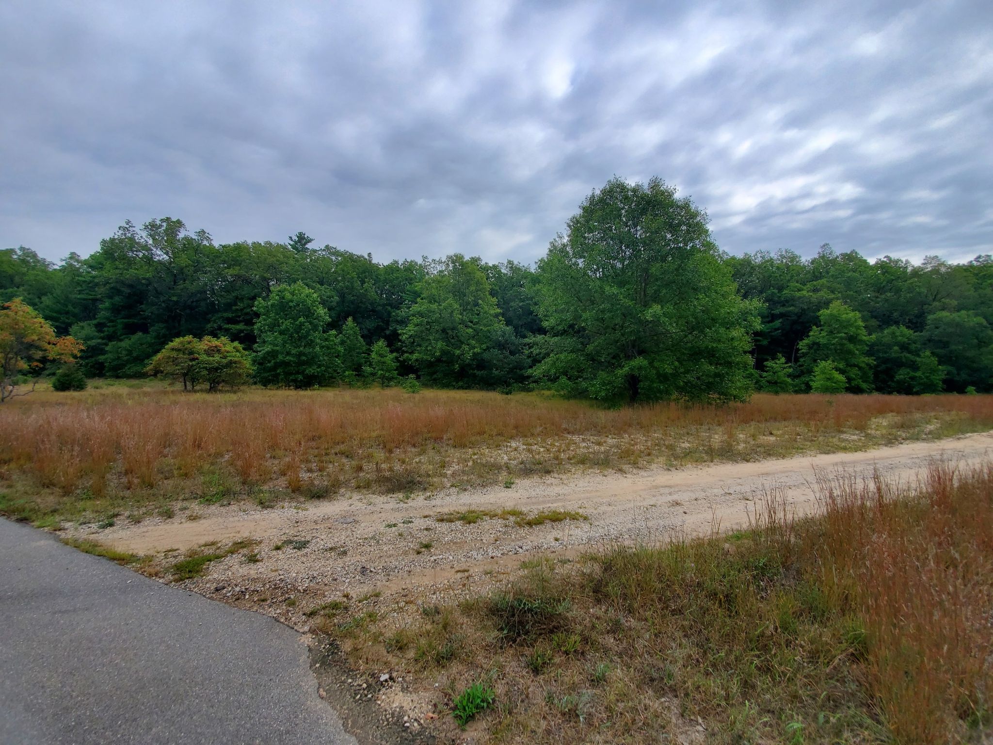 A dirt road crosses a grassy field bordered by a dense forest under cloudy skies. - Bunker Lake – Hart Lake loop from Montague