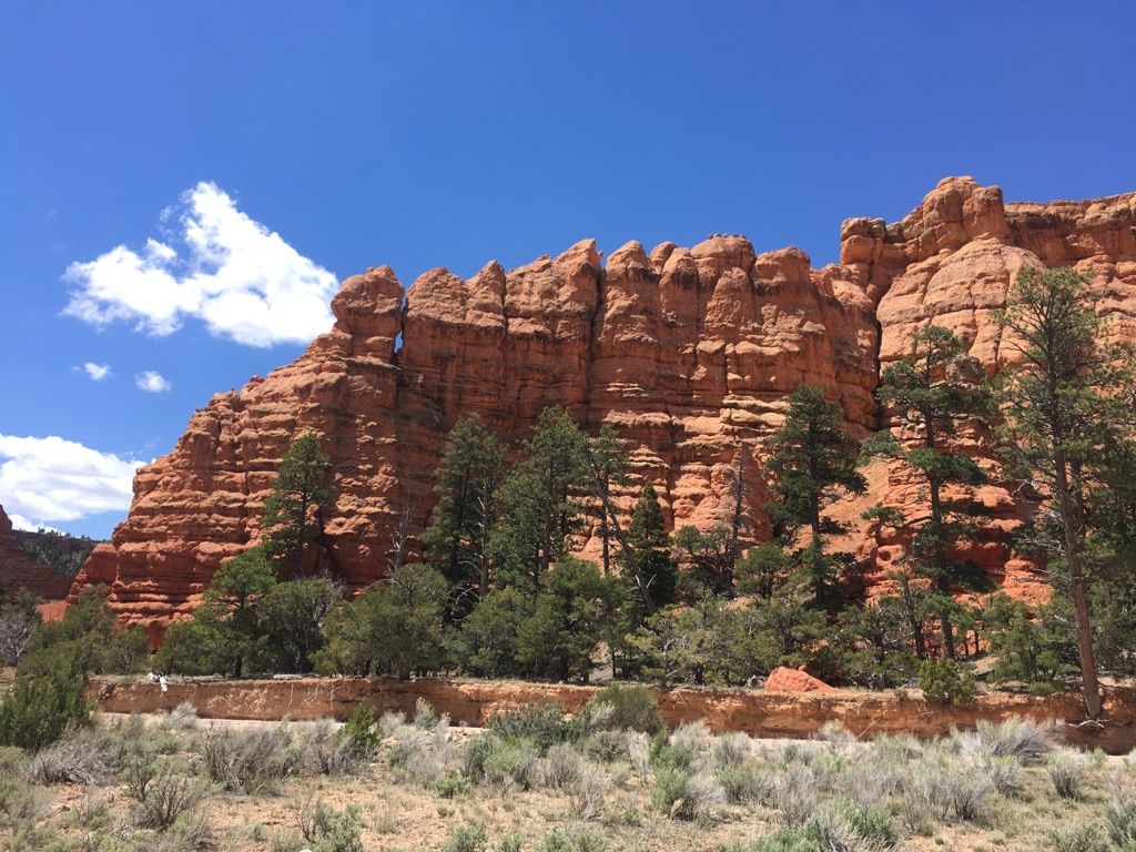 Massive red rock wall with green trees and brush under a clear blue sky. - Casto Canyon Trail
