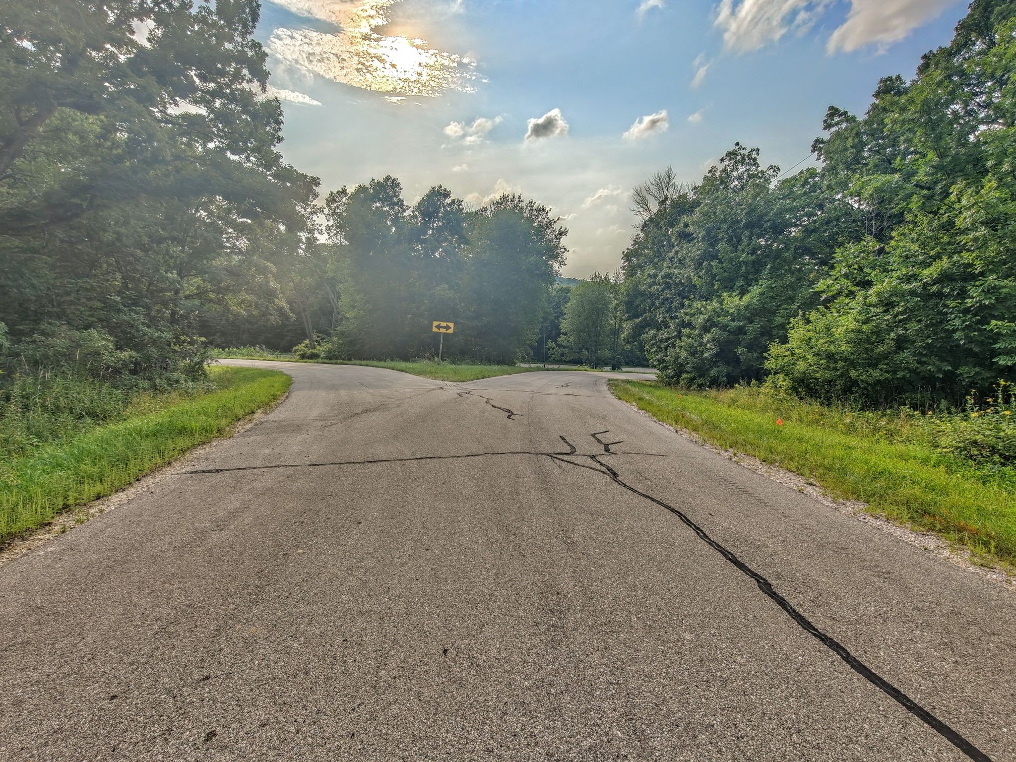 Fork in a paved road surrounded by dense green trees. - North Freedom/Leland loop