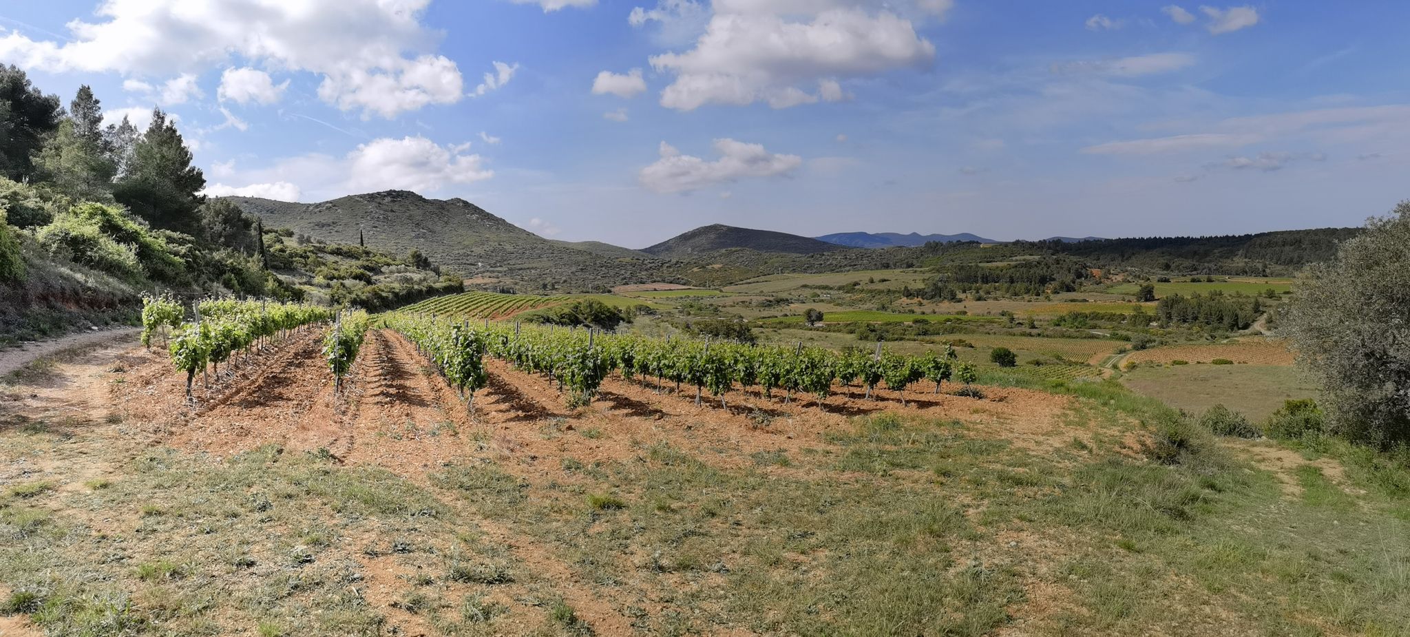 Mont Peyroux et Puech de la Suque