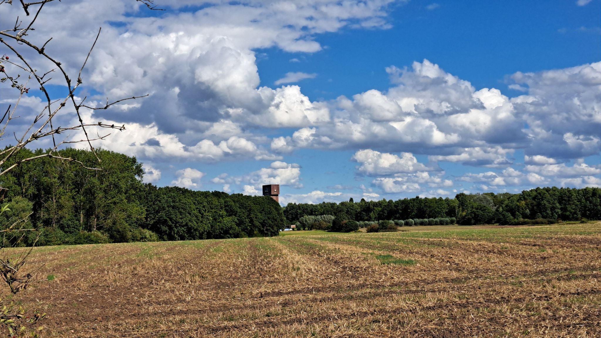 Aussicht zum Hammerkopfturm Creativ Revier Heinrich Robert