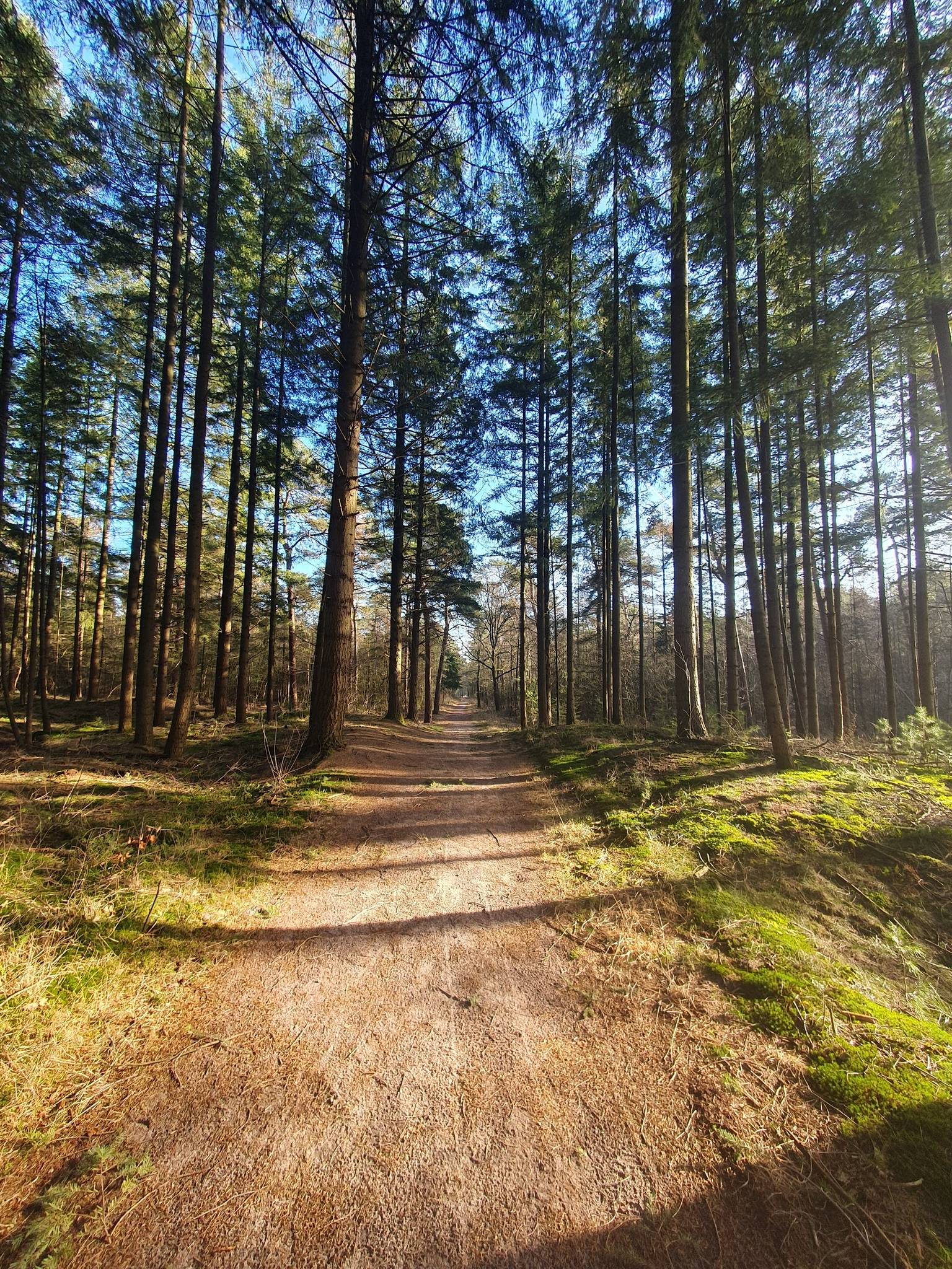 18d4b46ac87?width=3840&crop=false&q=70